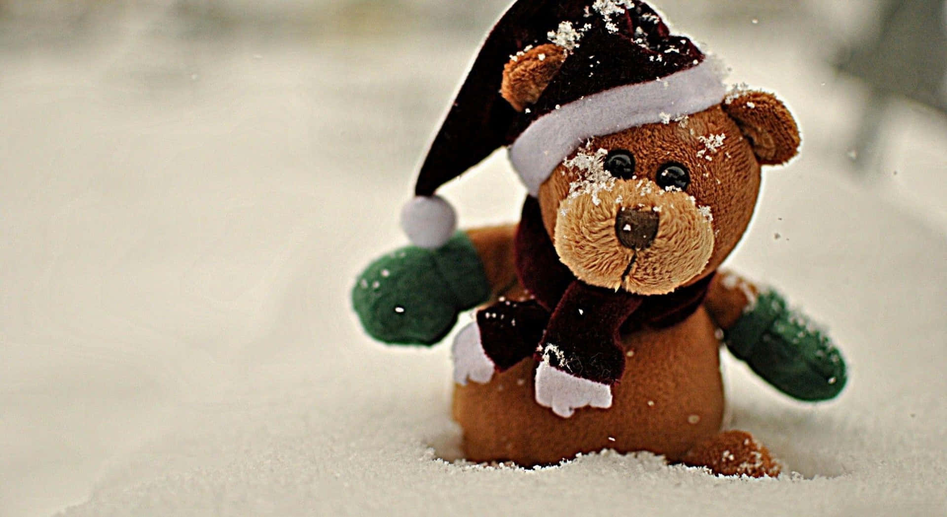 Cute Teddy 桌布 壁紙 — 一隻棕色毛絨泰迪熊戴著聖誕帽和圍巾，坐在新雪中，雪花輕輕落在它的臉上。