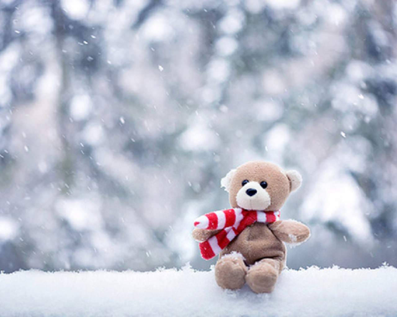 Cute Bear 桌布 壁紙 — 一隻棕色泰迪熊戴著紅白條紋圍巾，獨自坐在飄雪中，背景是模糊的雪樹。