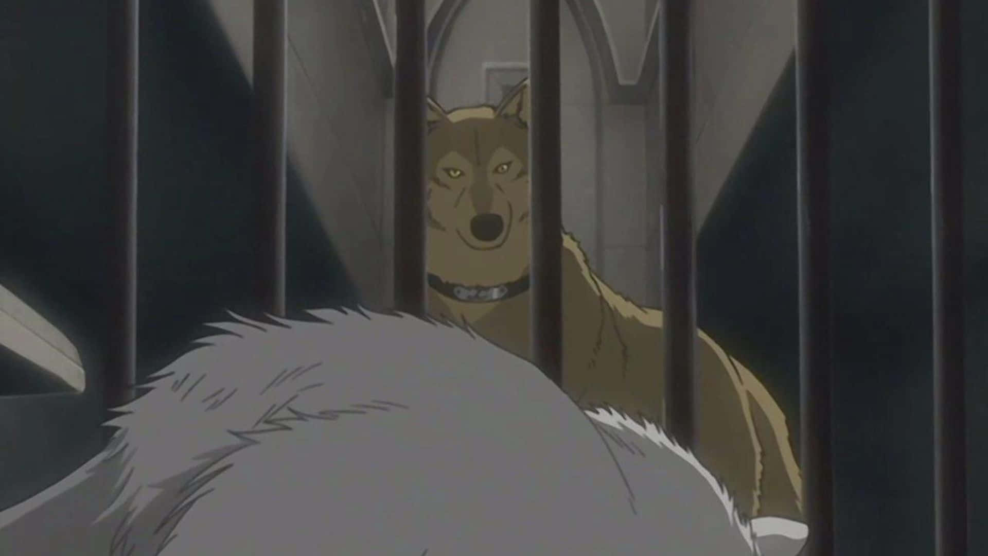 Wolf's Rain Hige 桌布 壁紙 — 一隻棕色眼睛發光的狼透過黑暗的欄杆凝視著一個在昏暗籠子裡的白毛生物。