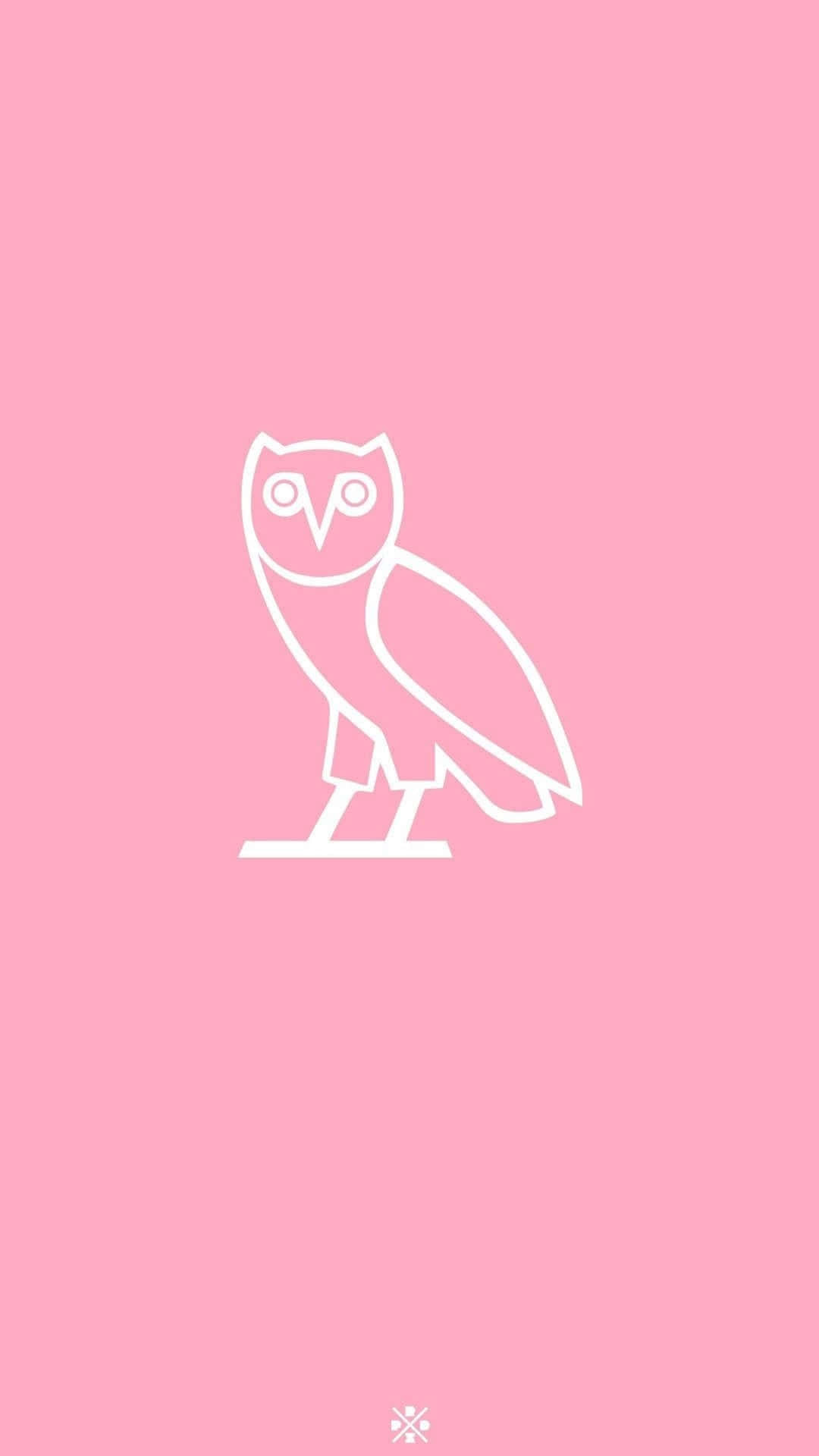 Drake Ovo Owl iPhone 桌布 壁紙 — 一隻棲息在樹枝上的貓頭鷹的極簡白色線條畫，背景為純粉色。