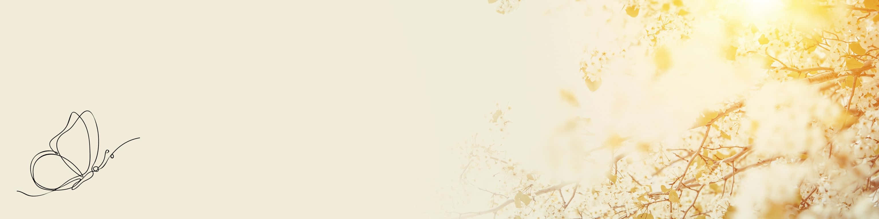3072x768 桌布 壁紙 — 一隻極簡線條藝術的蝴蝶在精緻的樹枝間漂浮，旁邊是燦爛的金色陽光。
