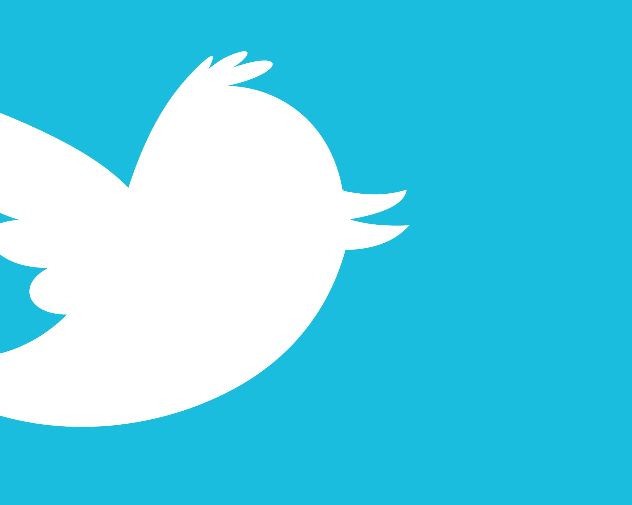Twitter 桌布 壁紙 — 一隻極簡風格的白色鳥類剪影在純綠松石色背景上飛翔。