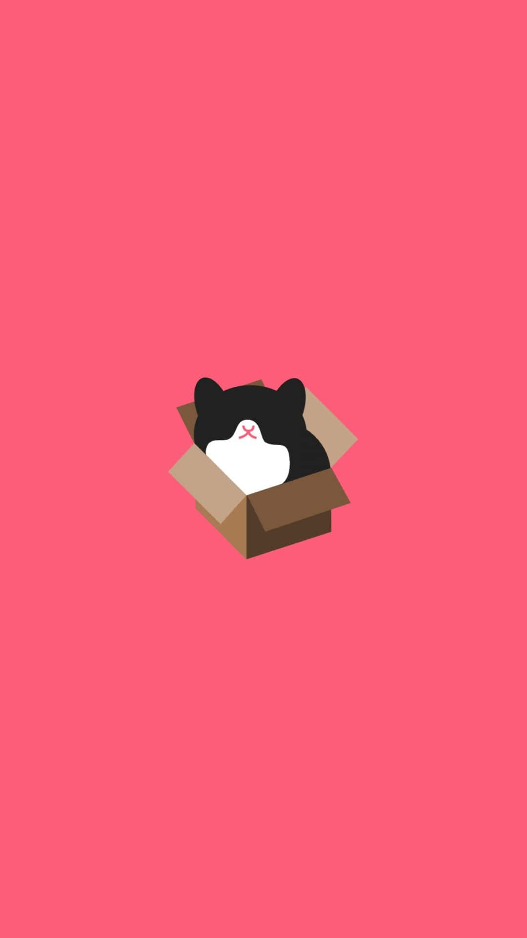 Minimalist Phone 桌布 壁紙 — 一隻極簡黑白貓咪好奇地從紙箱中探出頭來，背景是純粉紅色。