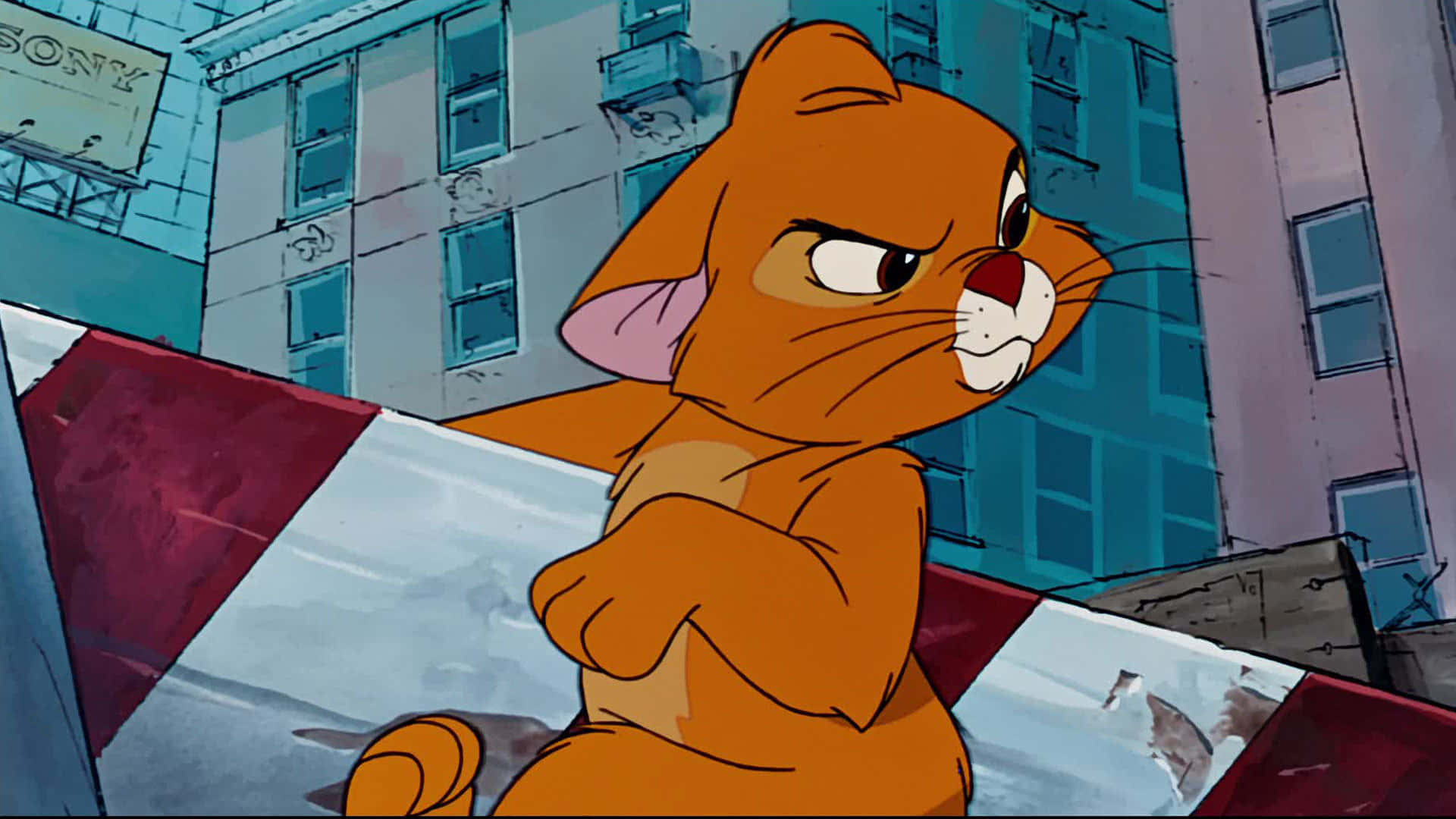 oliver and company 桌布 壁紙 — 一隻橙色卡通貓咪表情嚴肅，站在城市景觀中紅白相間的障礙物上，背景有藍色建築物。