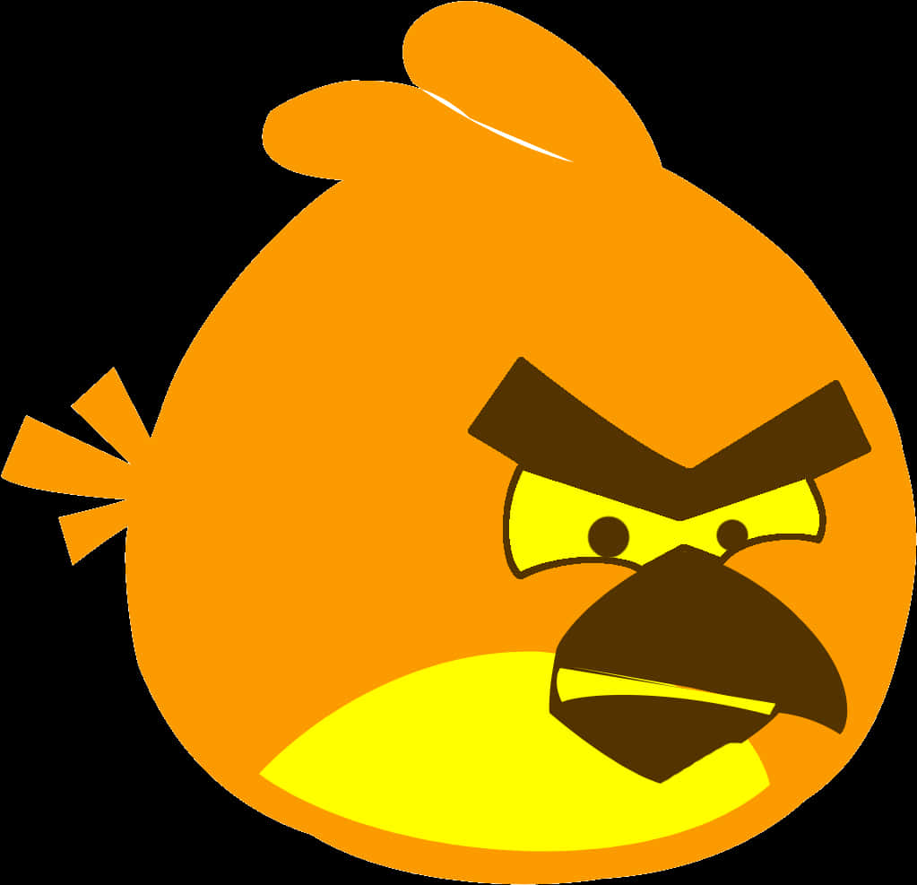 Angry Bird 桌布 壁紙 — 一隻橙色卡通鳥，表情憤怒，黃色鳥喙，黑色背景。