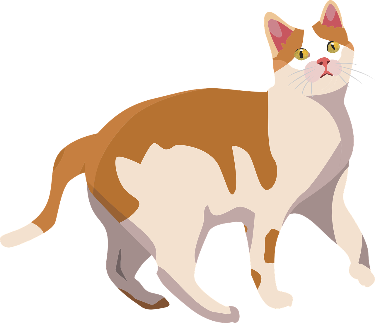 動物 桌布 壁紙 — 一隻橙色和白色毛髮的卡通貓咪在黑色背景前警覺地站立。