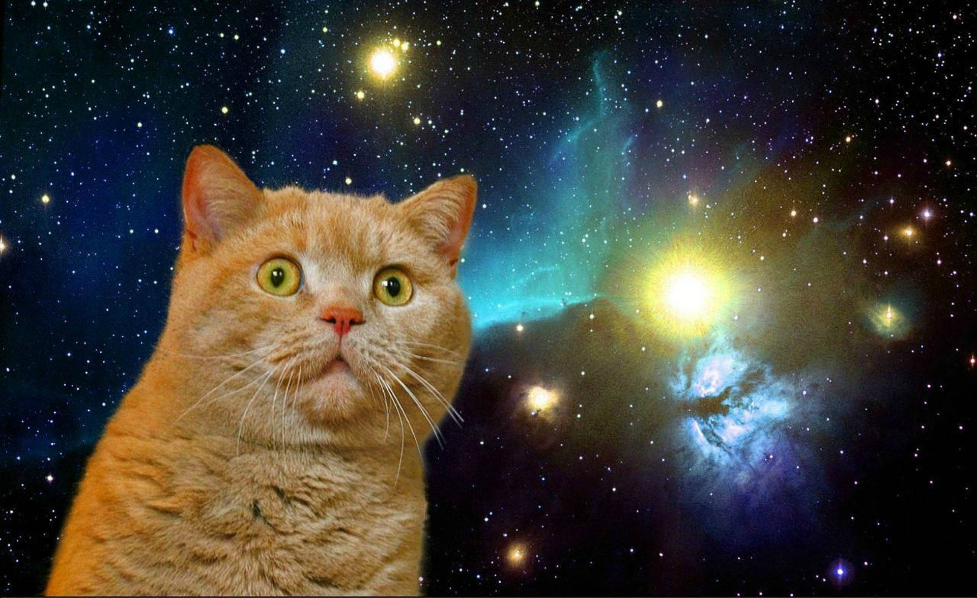 搞笑 桌布 壁紙 — 一隻橙色虎斑貓，有著寬大的綠色眼睛，在充滿星星和發光氣體雲的鮮豔宇宙星雲背景下向前凝視。