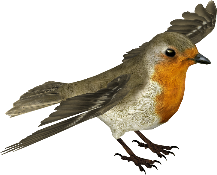 robin 桌布 壁紙 — 一隻歐洲知更鳥在純黑背景下飛翔的詳細3D渲染圖，展現其橙色胸部和灰色翅膀。