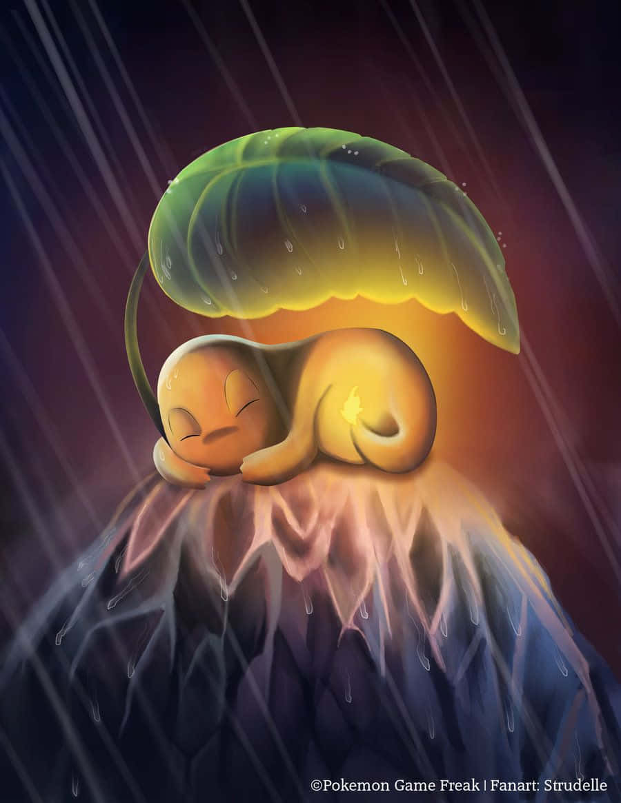 Cute Charmander 桌布 壁紙 — 一隻正在睡覺的菊草葉蜷縮在發光的葉子傘下，周圍雨水滴落，籠罩在溫暖的金色光芒中。