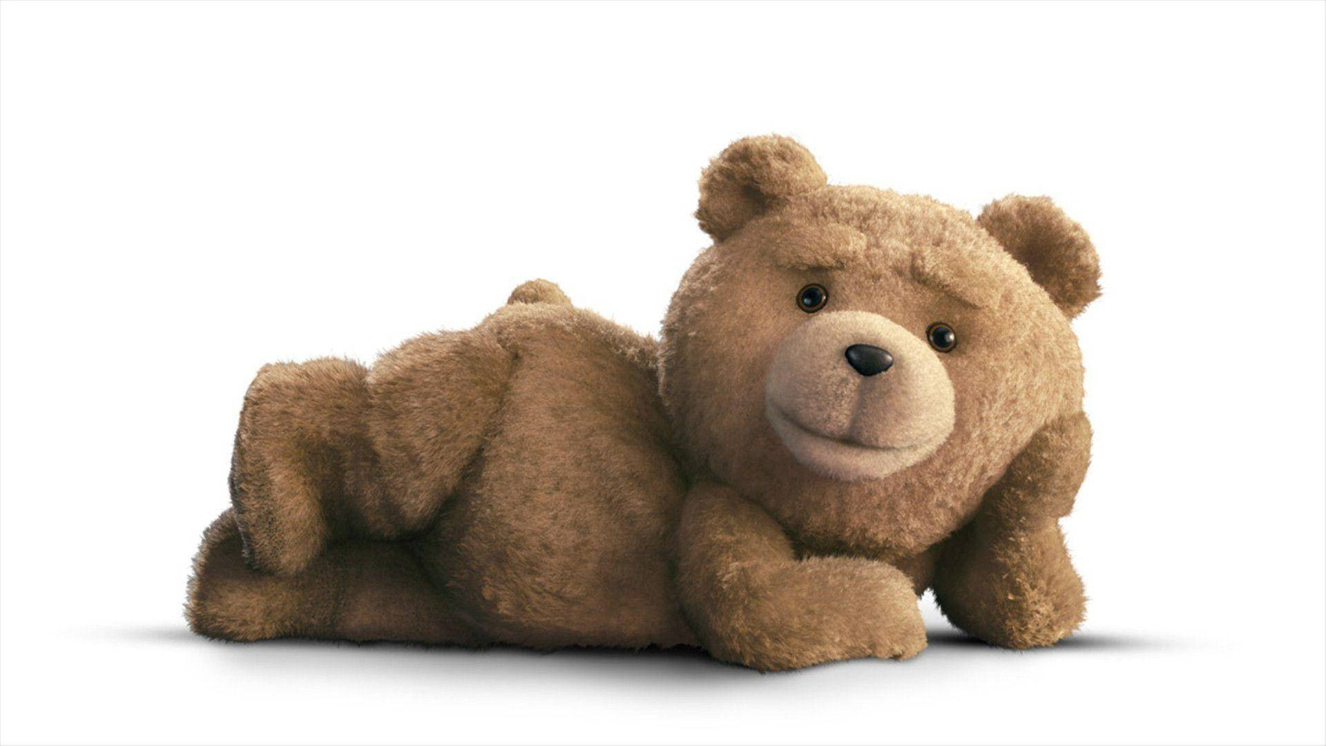 Ted 桌布 壁紙 — 一隻毛絨絨的棕色泰迪熊趴著，背景是純白色，下方有柔和的陰影。