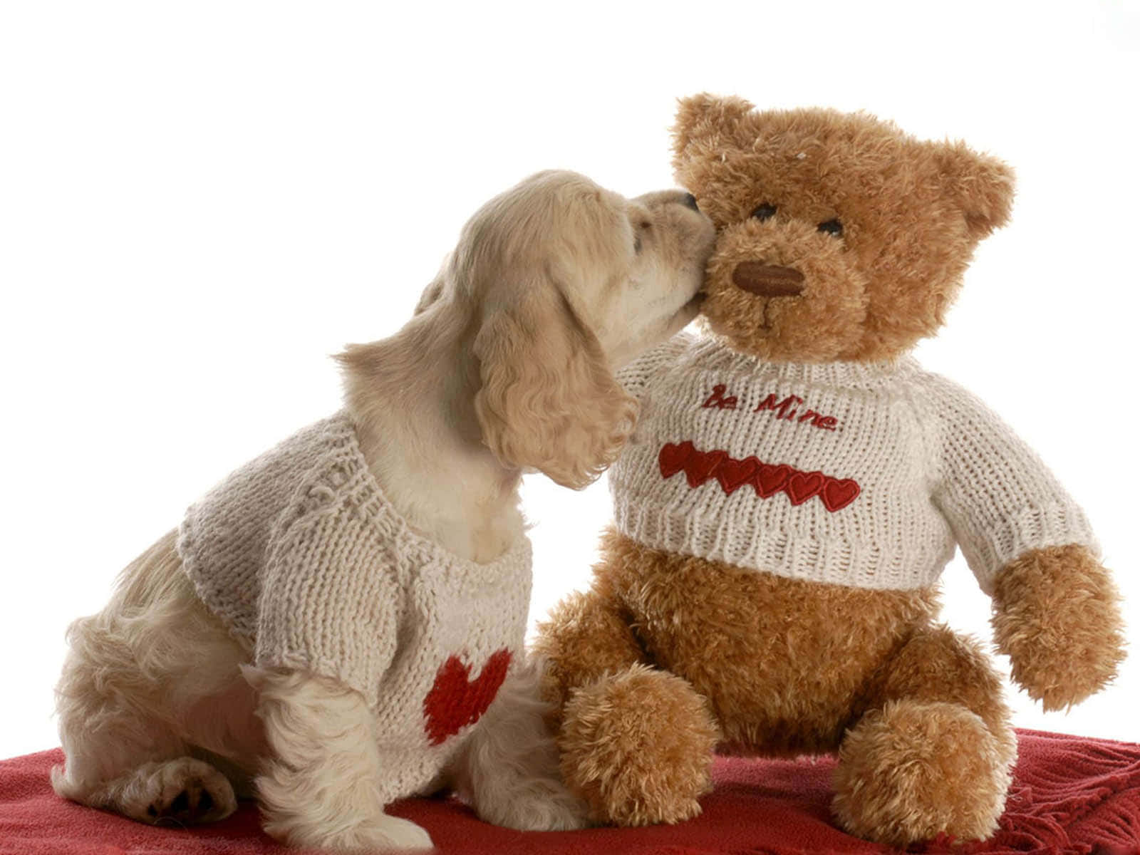 Teddy Bear 桌布 壁紙 — 一隻毛茸茸的奶油色小狗穿著白色針織毛衣，親吻一隻穿著相配毛衣（帶有紅色心形和「Be Mine」文字）的棕色泰迪熊。