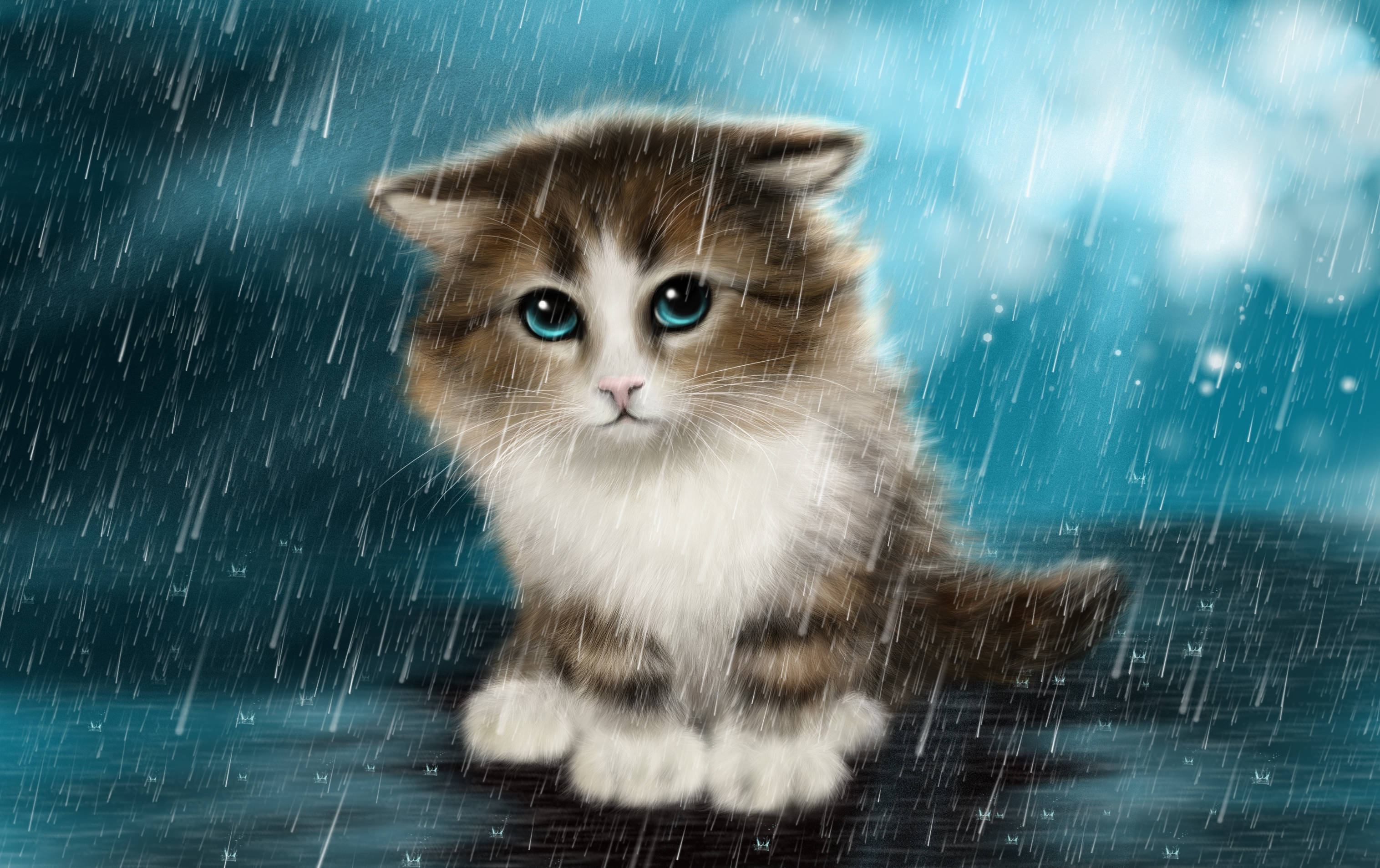 Cute Cat 桌布 壁紙 — 一隻毛茸茸的小貓咪，有著引人注目的藍色眼睛，在暴風雨的藍天下，靜靜地坐在傾盆大雨中。