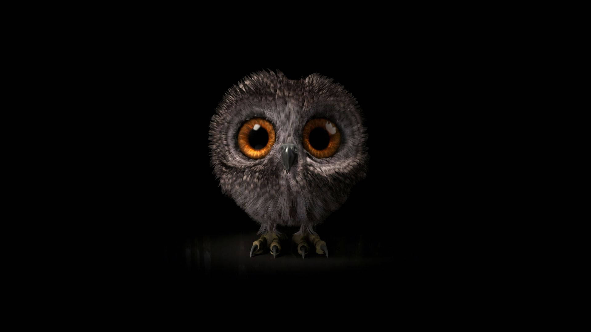 Baby Owl 桌布 壁紙 — 一隻毛茸茸的小貓頭鷹，琥珀色的眼睛閃閃發光，在漆黑的背景下凝視著。