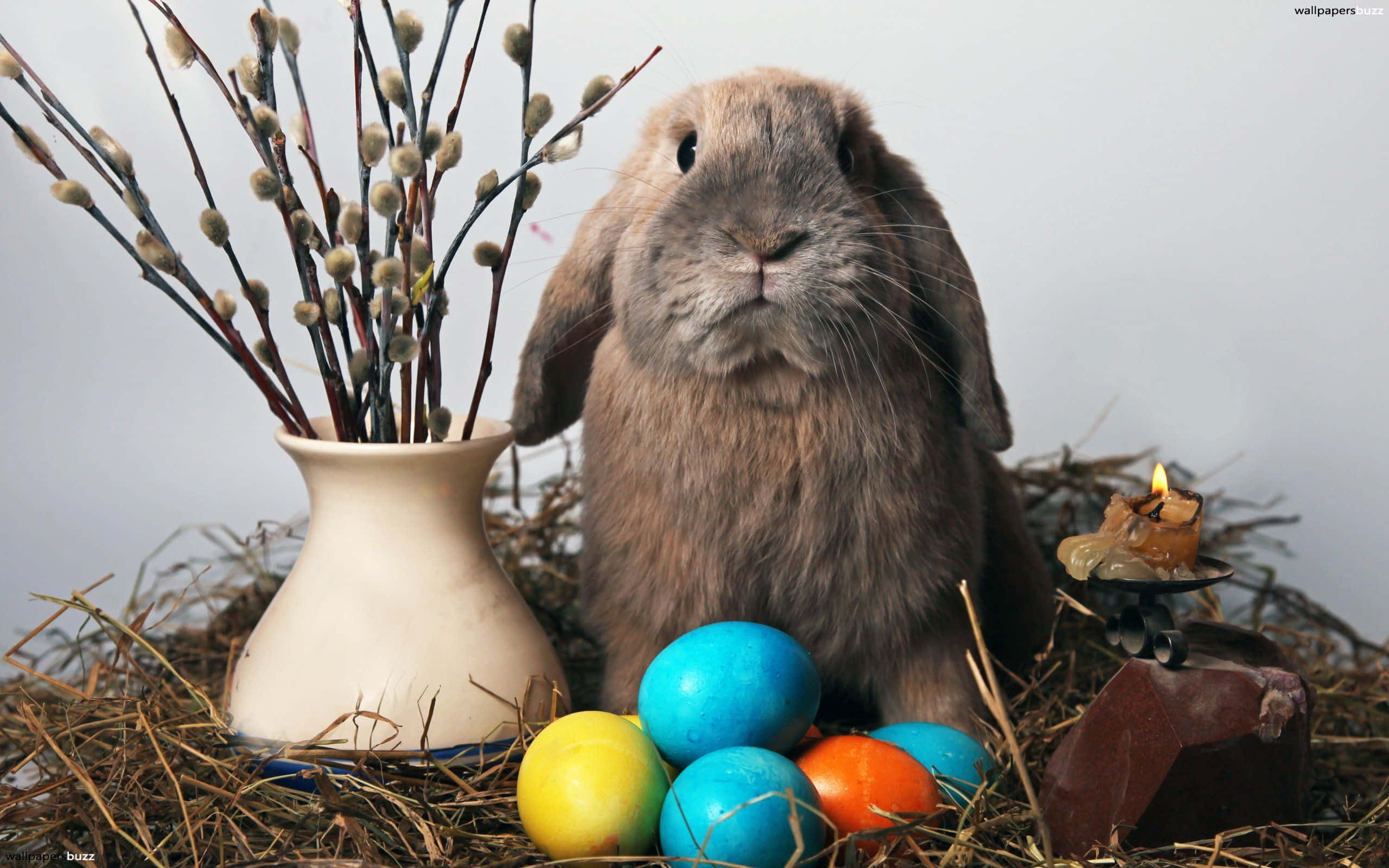 Easter Bunny 桌布 壁紙 — 一隻毛茸茸的棕色兔子坐在乾草中，周圍有彩色復活節蛋、一花瓶的柳絮和一支點燃的蠟燭。