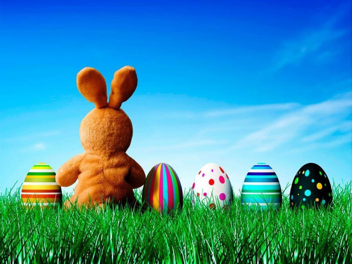 Easter 桌布 壁紙 — 一隻毛茸茸的棕色兔子坐在充滿活力的綠色草地上，面對著色彩繽紛的圖案復活節蛋，背景是明亮的藍天。