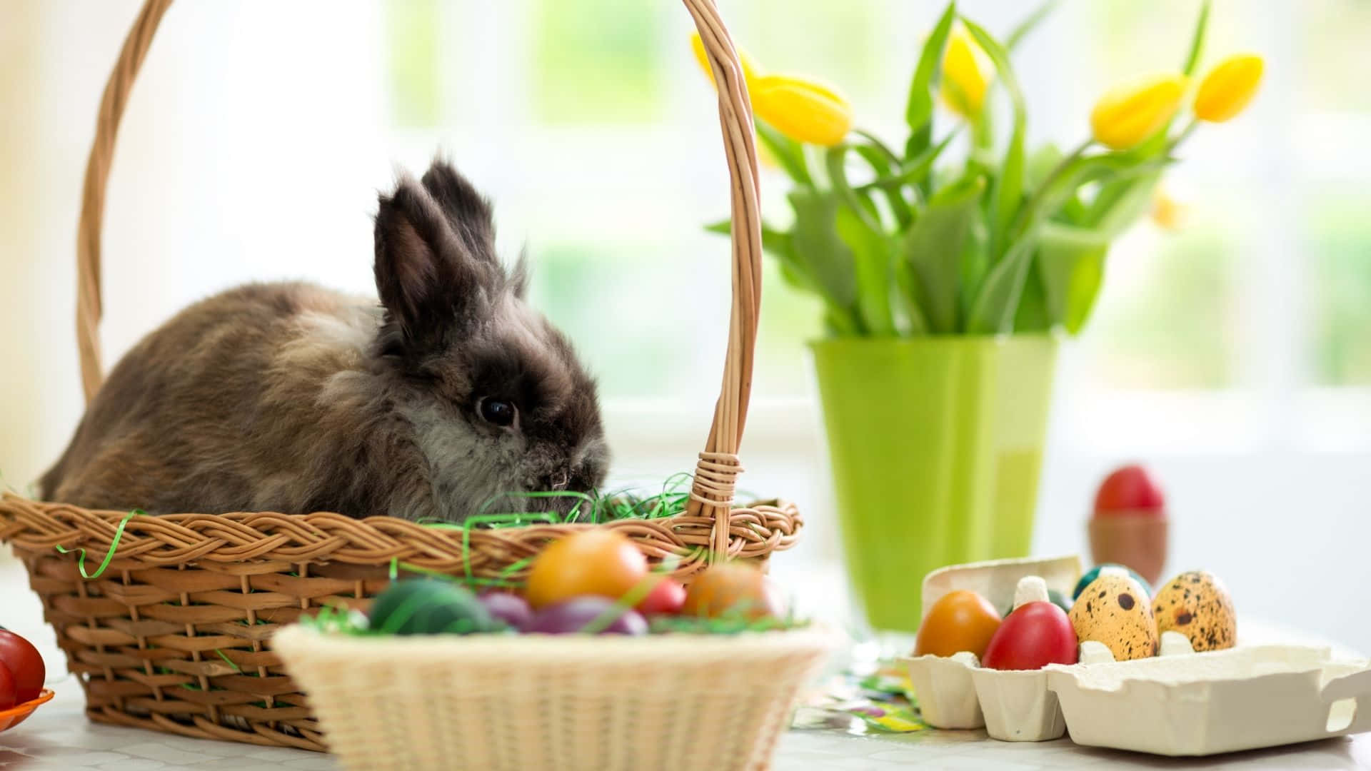 Easter Bunny 桌布 壁紙 — 一隻毛茸茸的棕色兔子坐在柳條籃裡，旁邊是色彩繽紛的復活節彩蛋和黃色鬱金香，在明亮的窗邊。