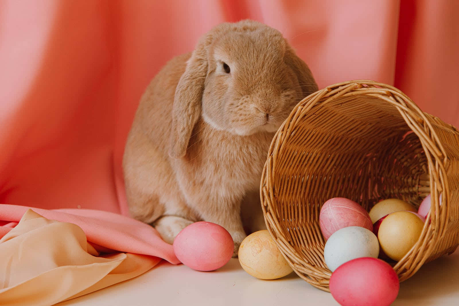 Pastel Easter 桌布 壁紙 — 一隻毛茸茸的棕色垂耳兔坐在一個翻倒的柳條籃旁邊，籃子裡散落著粉彩復活節彩蛋在柔軟的桃色布料上。