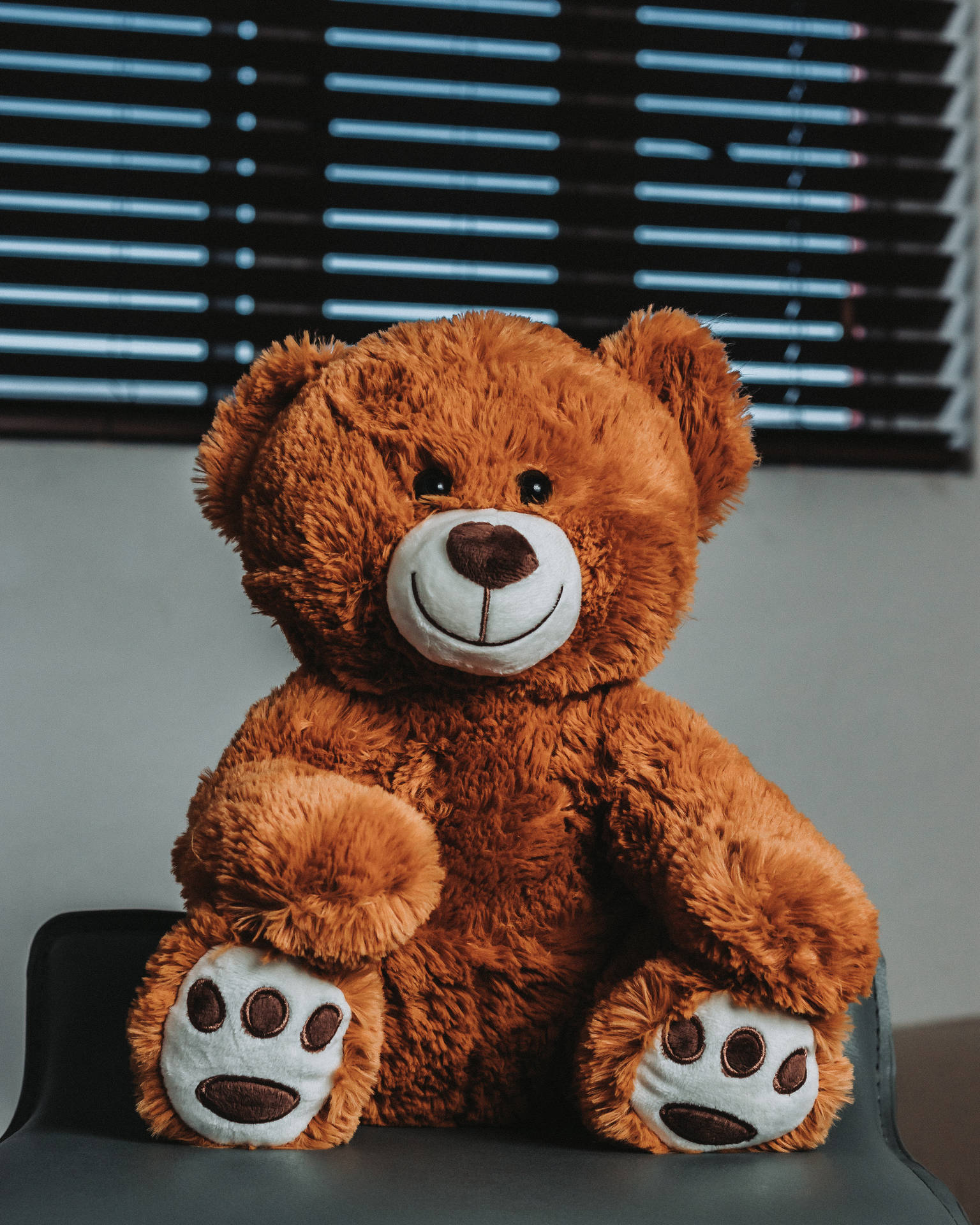 Cute Brown Bear 桌布 壁紙 — 一隻毛茸茸的棕色泰迪熊，白色鼻子和腳掌墊，直坐在黑色椅子上，背景是橫向百葉窗。