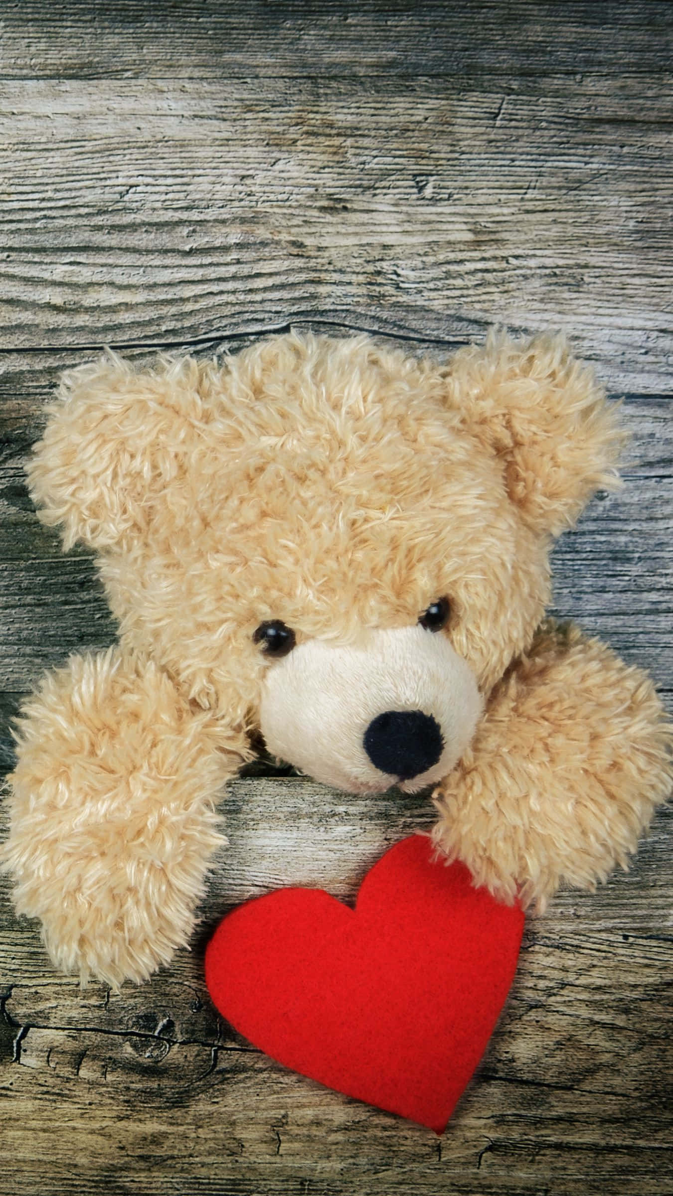 Teddy Bear 桌布 壁紙 — 一隻毛茸茸的棕色泰迪熊在風化的木頭上休息，旁邊有一個鮮紅色的氈製心形。