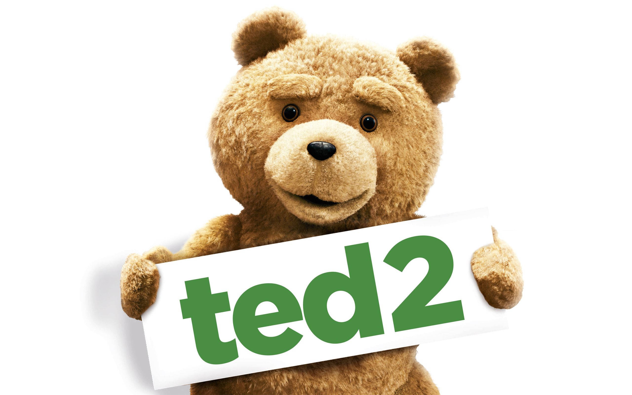 Ted 桌布 壁紙 — 一隻毛茸茸的棕色泰迪熊拿著一個白色牌子，上面有綠色 'ted2' 文字，背景是純白色。