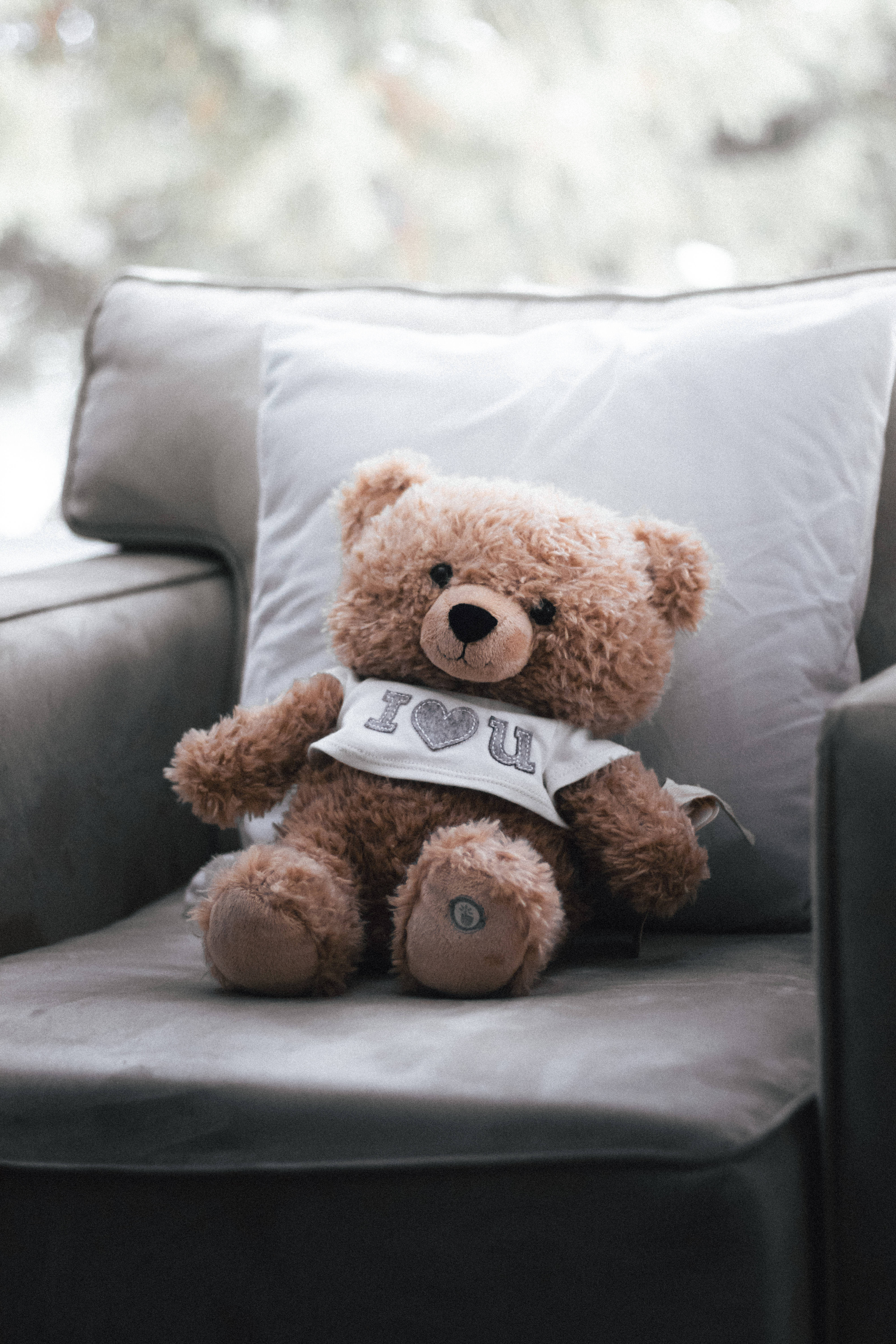 Cute Bear 桌布 壁紙 — 一隻毛茸茸的棕色泰迪熊穿著印有 I heart U 的白色襯衫，舒適地坐在灰色沙發墊上。