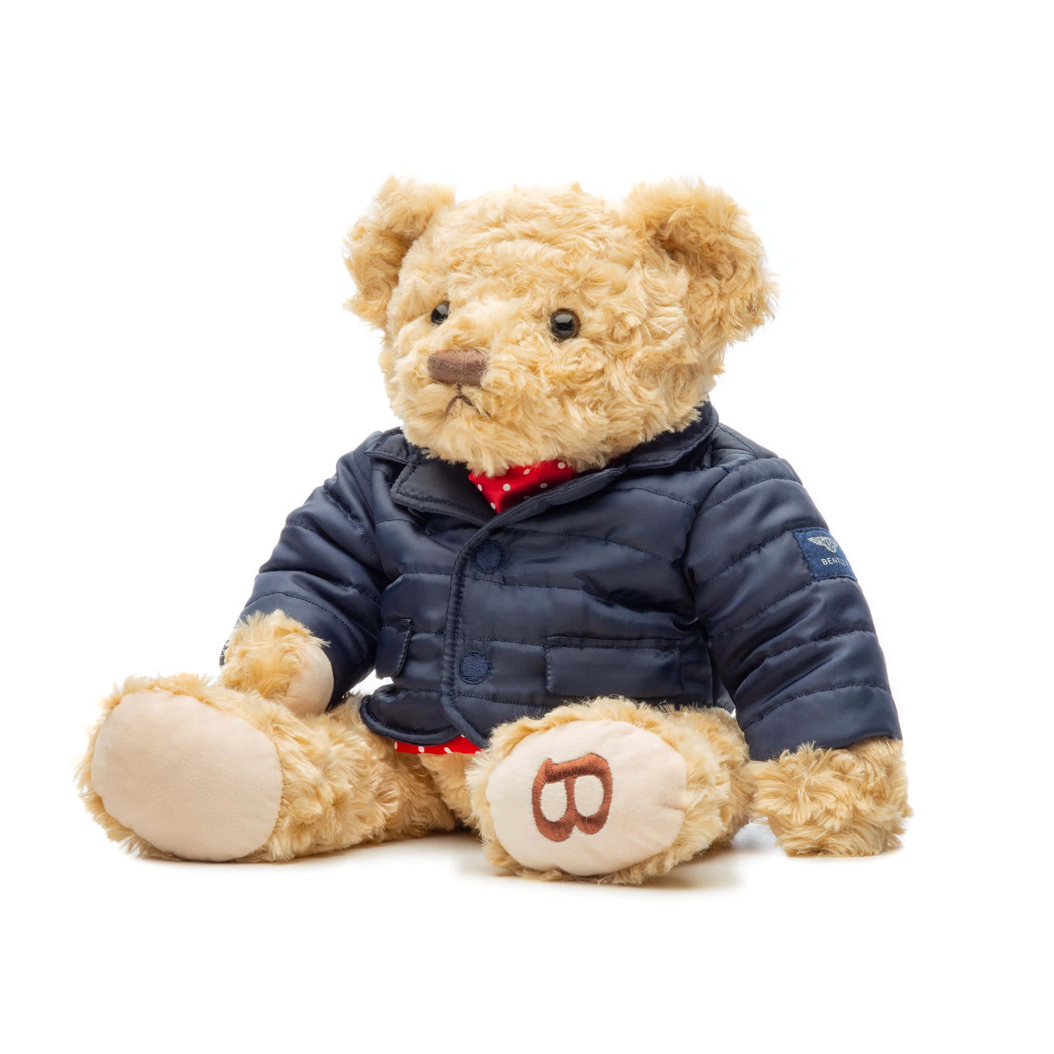 Teddy Bear 桌布 壁紙 — 一隻毛茸茸的棕色泰迪熊穿著海軍藍絎縫外套和紅色圓點蝴蝶結，坐在白色背景前。