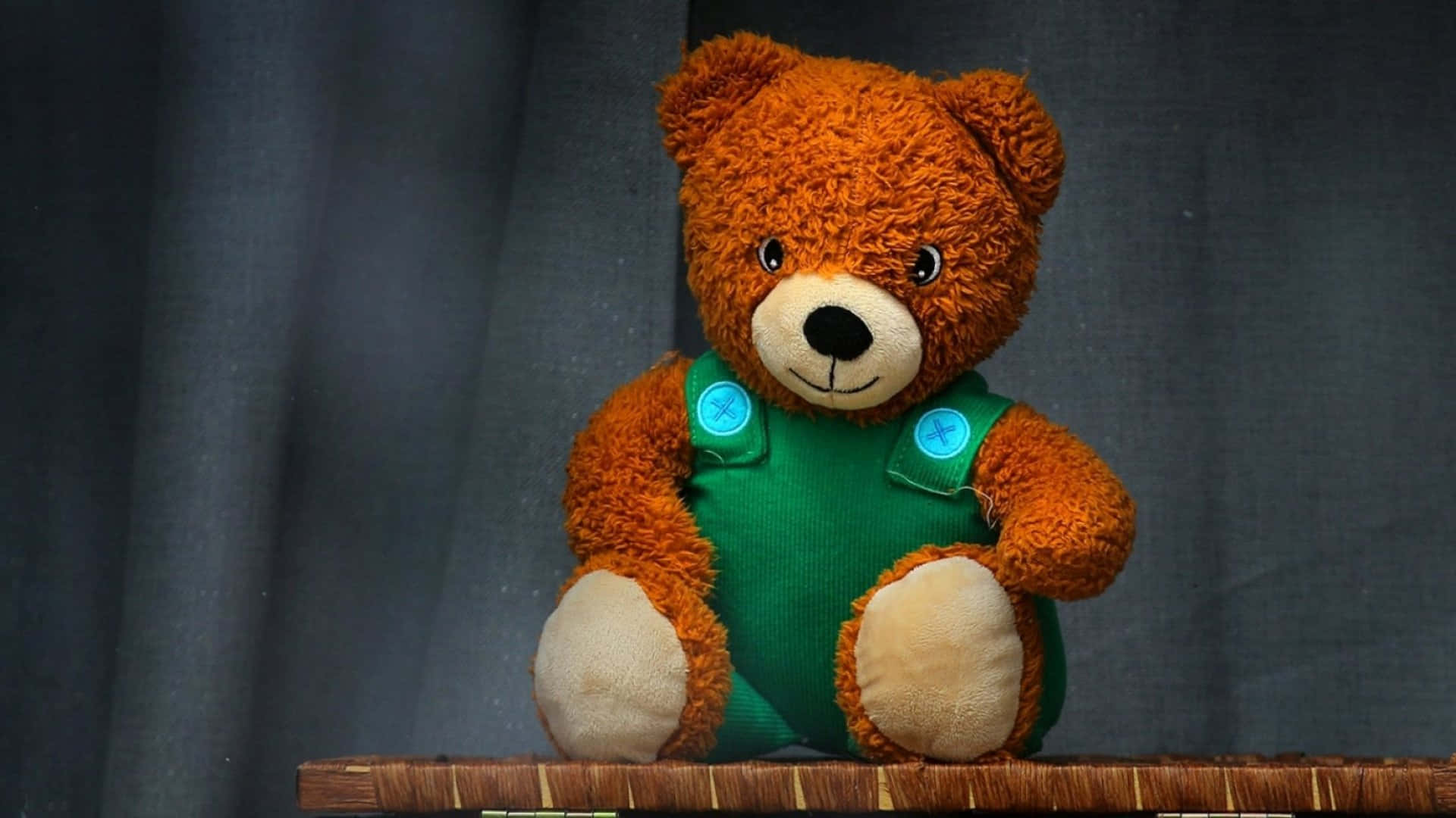 Teddy Bear 桌布 壁紙 — 一隻毛茸茸的棕色泰迪熊穿著綠色吊帶褲，坐在木架上，背景是深灰色窗簾。