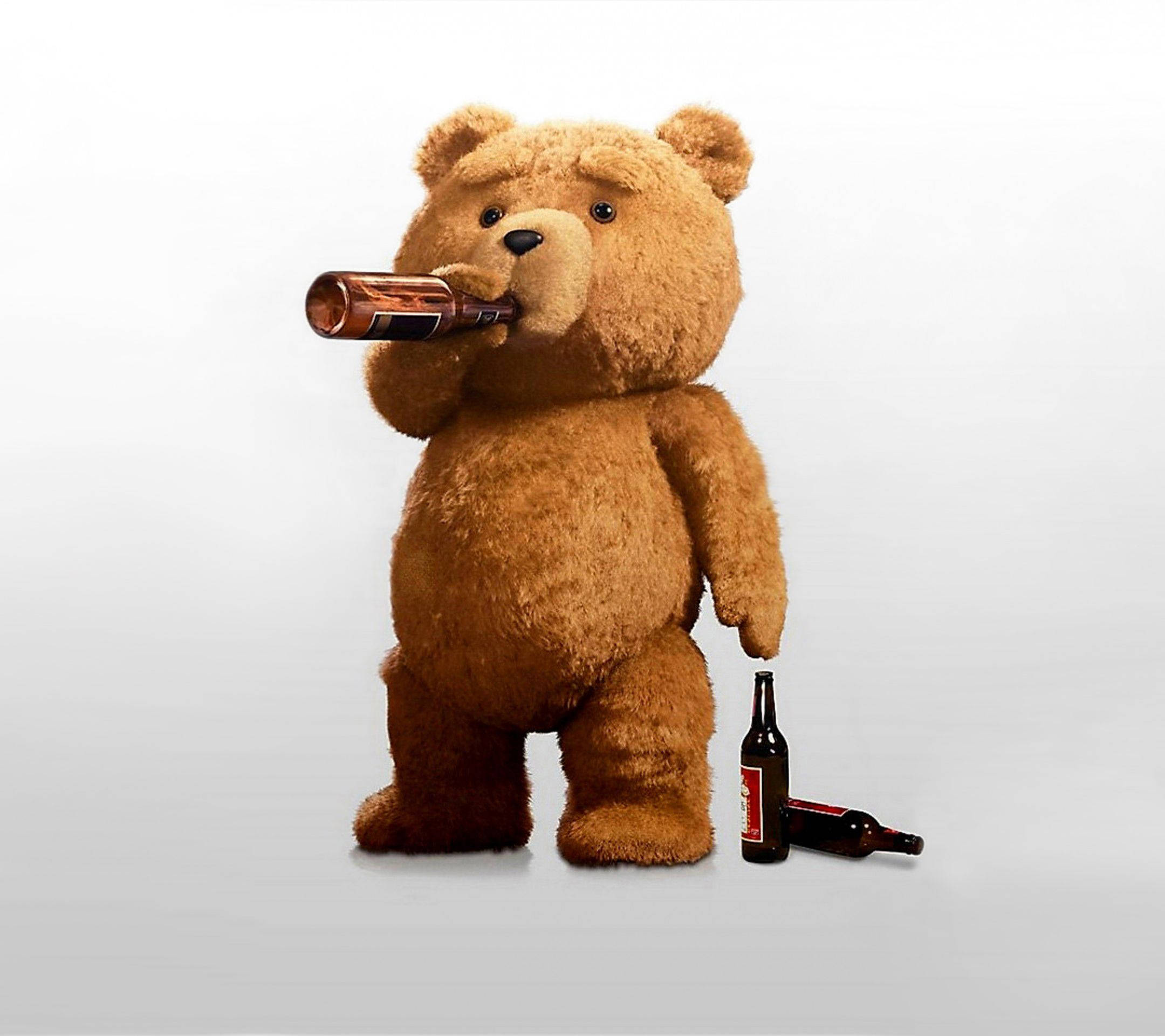 Ted 桌布 壁紙 — 一隻毛茸茸的棕色泰迪熊站在純白色背景前，用啤酒瓶喝酒，腳邊還有兩個瓶子。