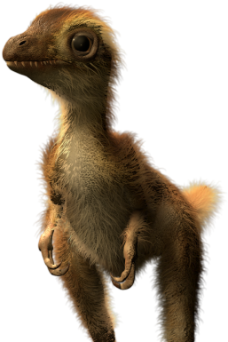 T Rex Dinosaur 桌布 壁紙 — 一隻毛茸茸的棕色羽毛恐龍寶寶站在純黑色背景前，保持警覺。
