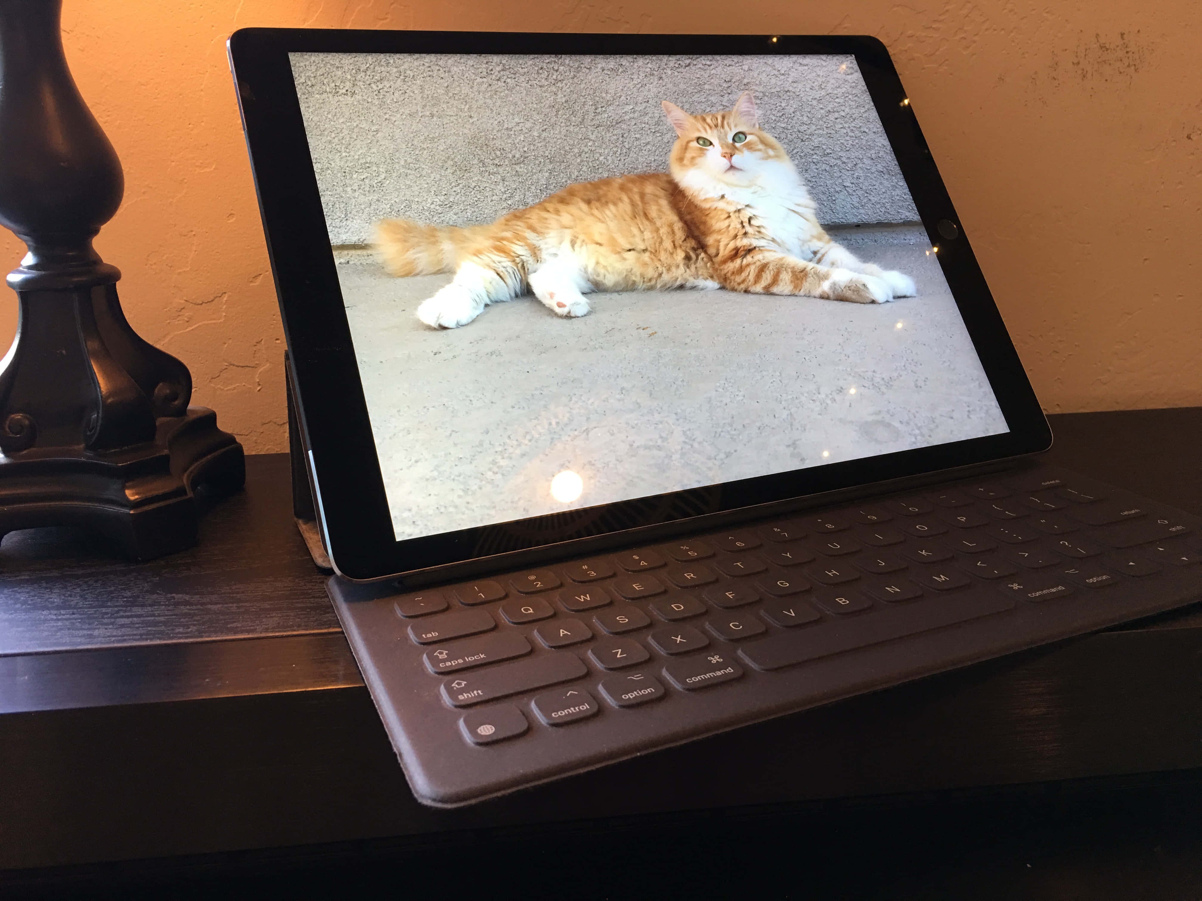 iPad 桌布 壁紙 — 一隻毛茸茸的橙色和白色貓咪在混凝土表面上休息，顯示在放在深色木桌旁燈邊的平板電腦螢幕上。