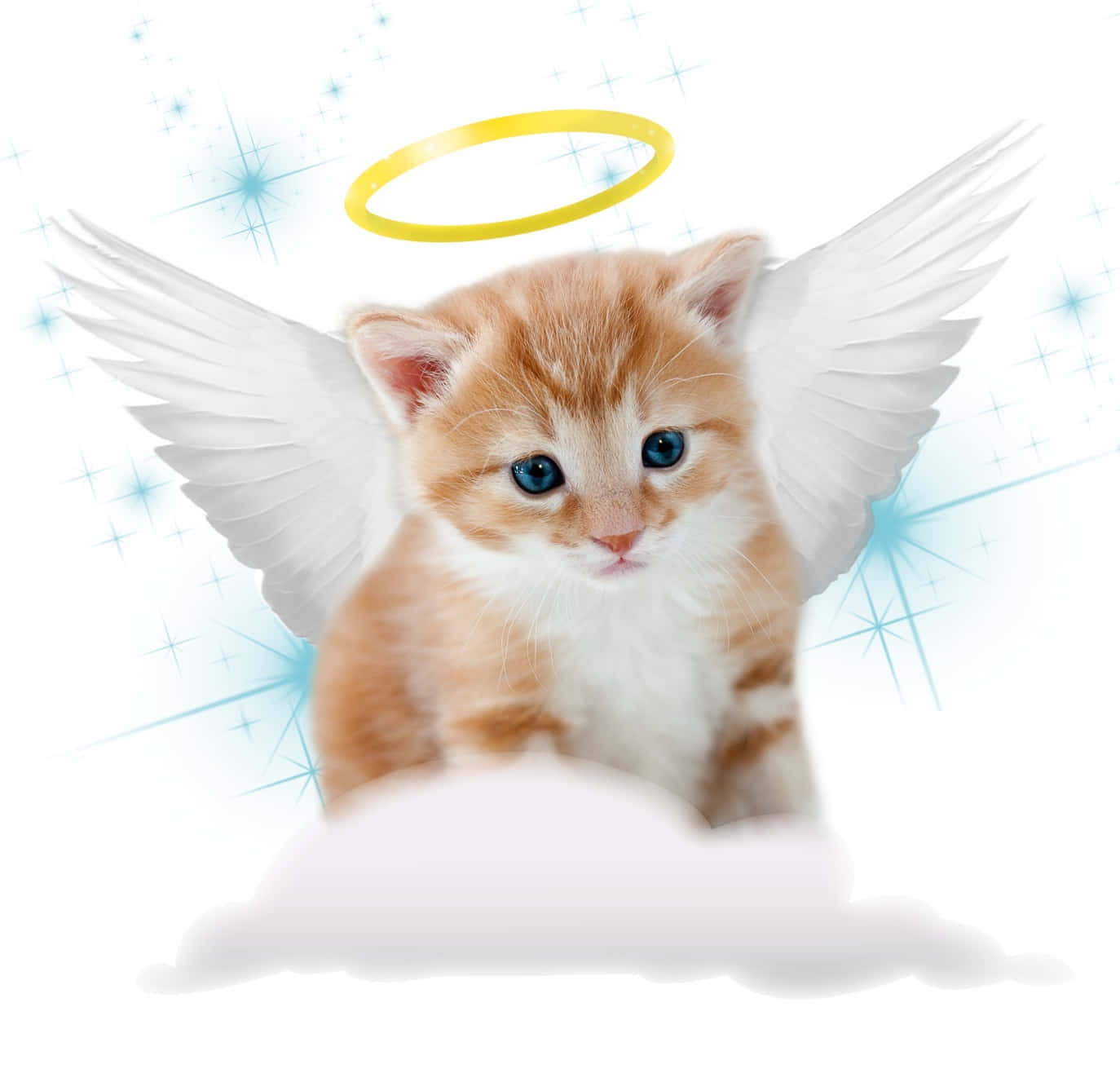 Cute Cat 桌布 壁紙 — 一隻毛茸茸的橙色小貓，藍色眼睛，坐在雲端上，戴著白色天使翅膀和金色光環，背景是閃爍的藍色。