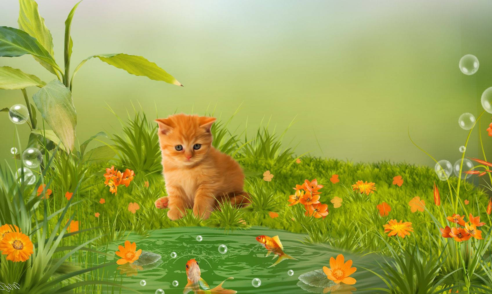 動物 桌布 壁紙 — 一隻毛茸茸的橙色小貓坐在充滿活力的綠色草地上，旁邊有一個池塘，裡面有金魚和漂浮的泡泡，周圍環繞著橙色花朵。