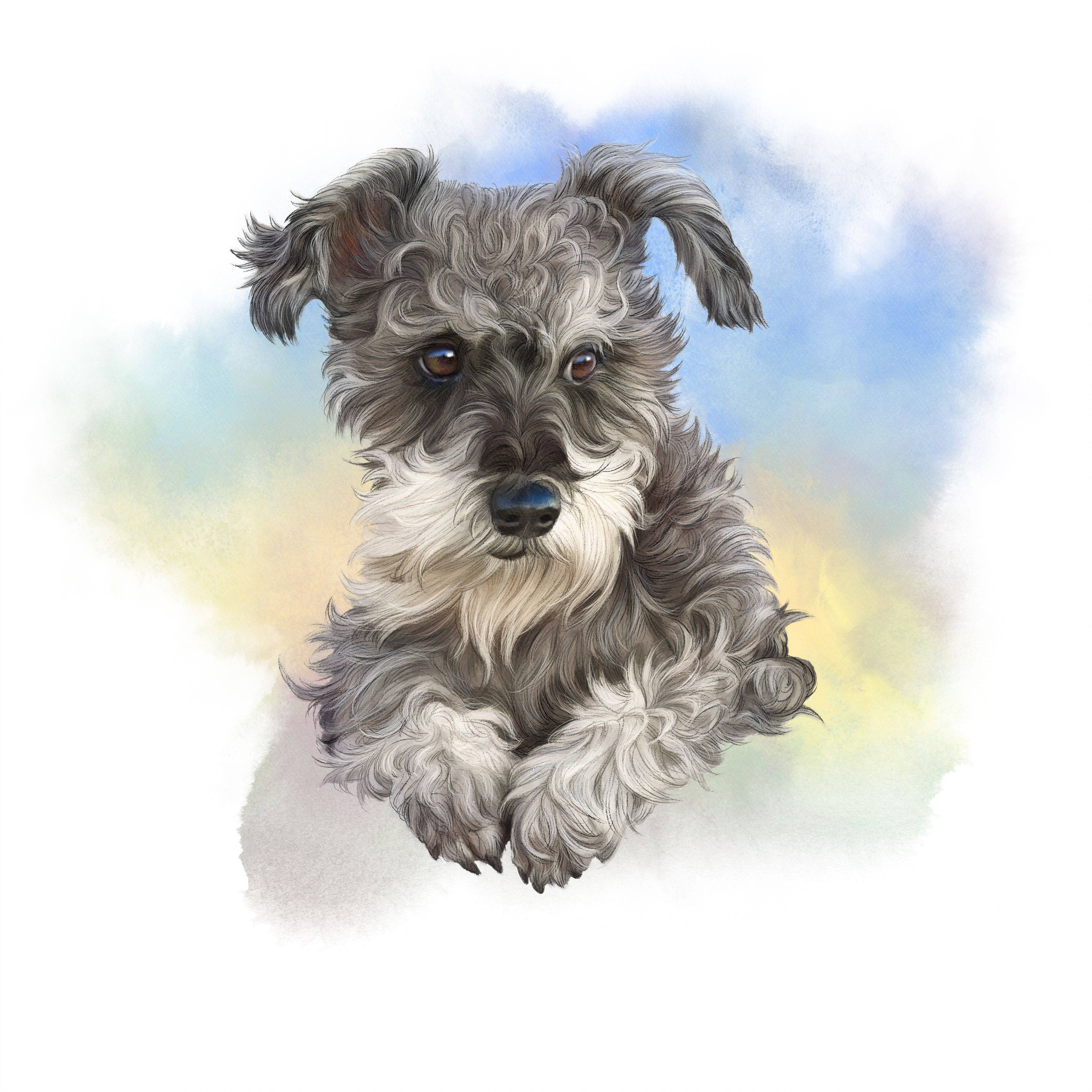 Dog Art 桌布 壁紙 — 一隻毛茸茸的灰白色狗，有著富有表現力的棕色眼睛，在柔和的水彩天空背景下向前凝視。