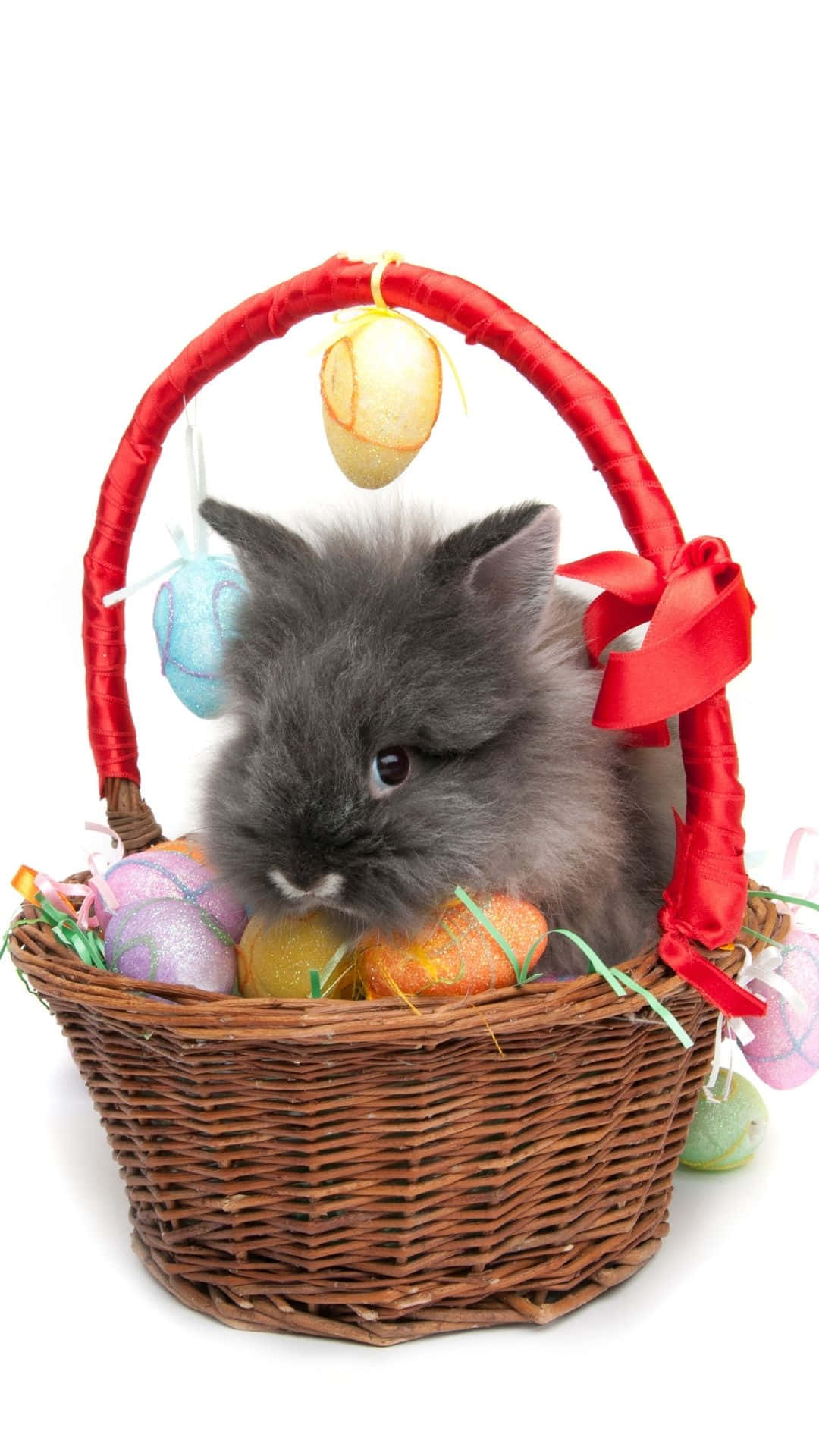 Easter Bunny 桌布 壁紙 — 一隻毛茸茸的灰色小兔從一個裝滿色彩繽紛裝飾蛋和紅色絲帶的柳條復活節籃子裡探出頭來。