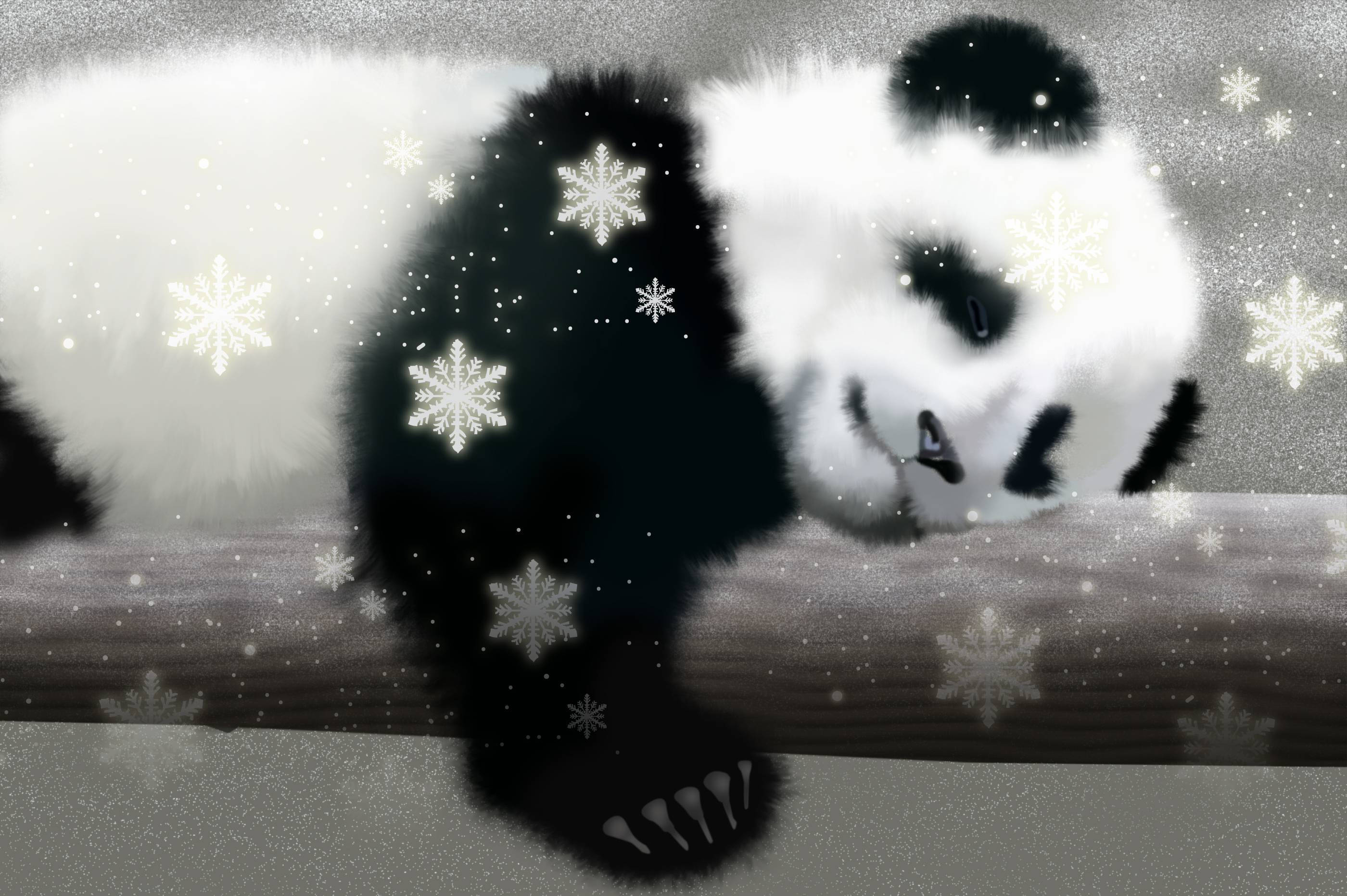 Cute Panda 桌布 壁紙 — 一隻毛茸茸的熊貓安詳地躺在木頭上休息，雪花輕輕飄落在周圍，構成寧靜的冬日場景。