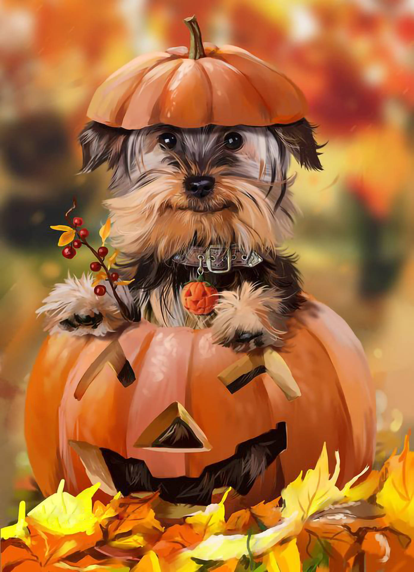 yorkie 桌布 壁紙 — 一隻毛茸茸的狗戴著南瓜帽坐在一個雕刻的傑克南瓜燈上，周圍環繞著秋葉。