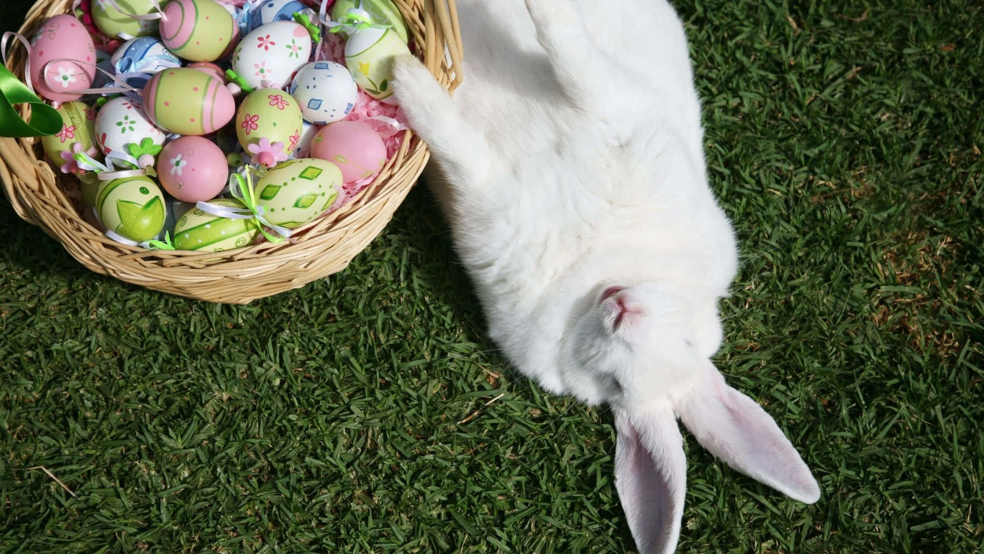 Easter Bunny 桌布 壁紙 — 一隻毛茸茸的白兔在一個裝滿色彩繽紛圖案復活節蛋的柳條籃旁邊，躺在鮮綠的草地上休息。