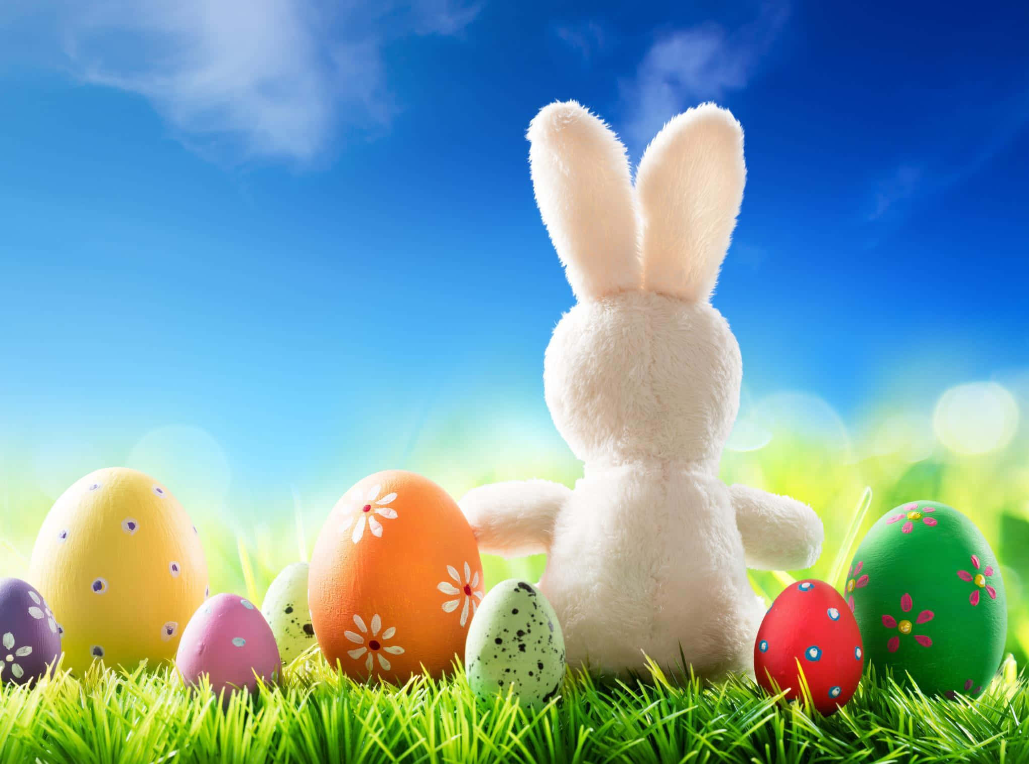 Easter Bunny 桌布 壁紙 — 一隻毛茸茸的白兔坐在充滿活力的綠草中，周圍環繞著色彩繽紛的裝飾復活節蛋，在明亮的藍天下。
