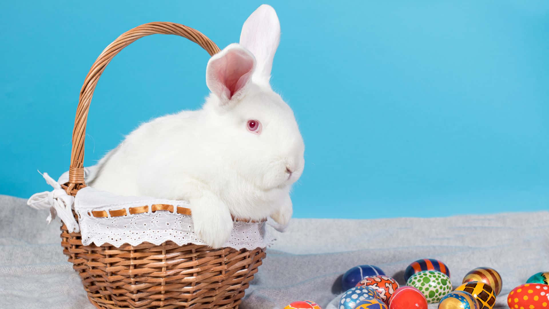 Easter Basket 桌布 壁紙 — 一隻毛茸茸的白兔坐在鋪有蕾絲的柳條籃子裡，旁邊是色彩繽紛的圖案復活節蛋，背景是明亮的藍色。