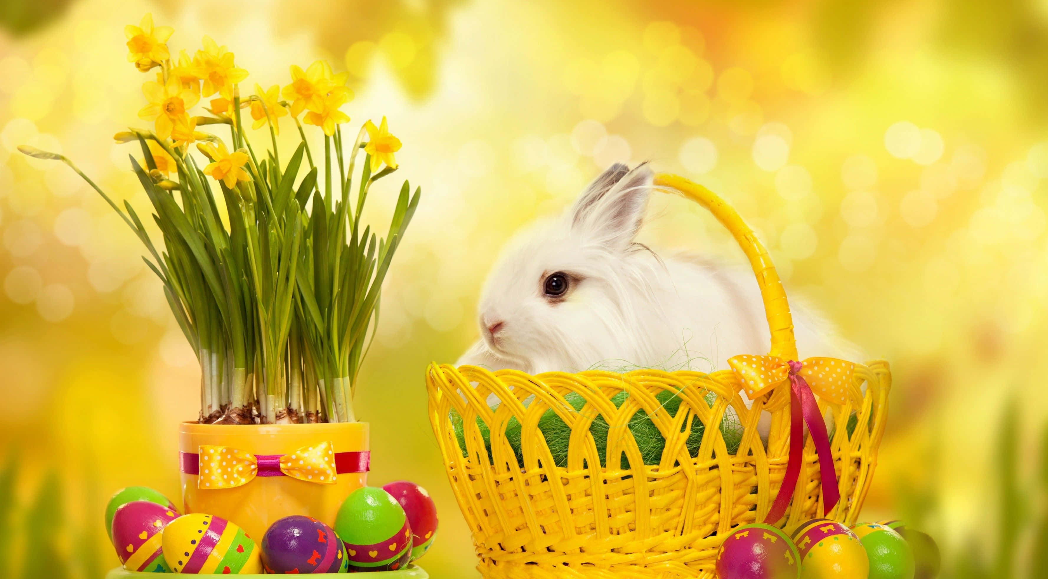 Easter Bunny 桌布 壁紙 — 一隻毛茸茸的白兔從一個黃色籃子裡探出頭來，旁邊有水仙花和色彩繽紛的復活節彩蛋，構成明亮的春天場景。