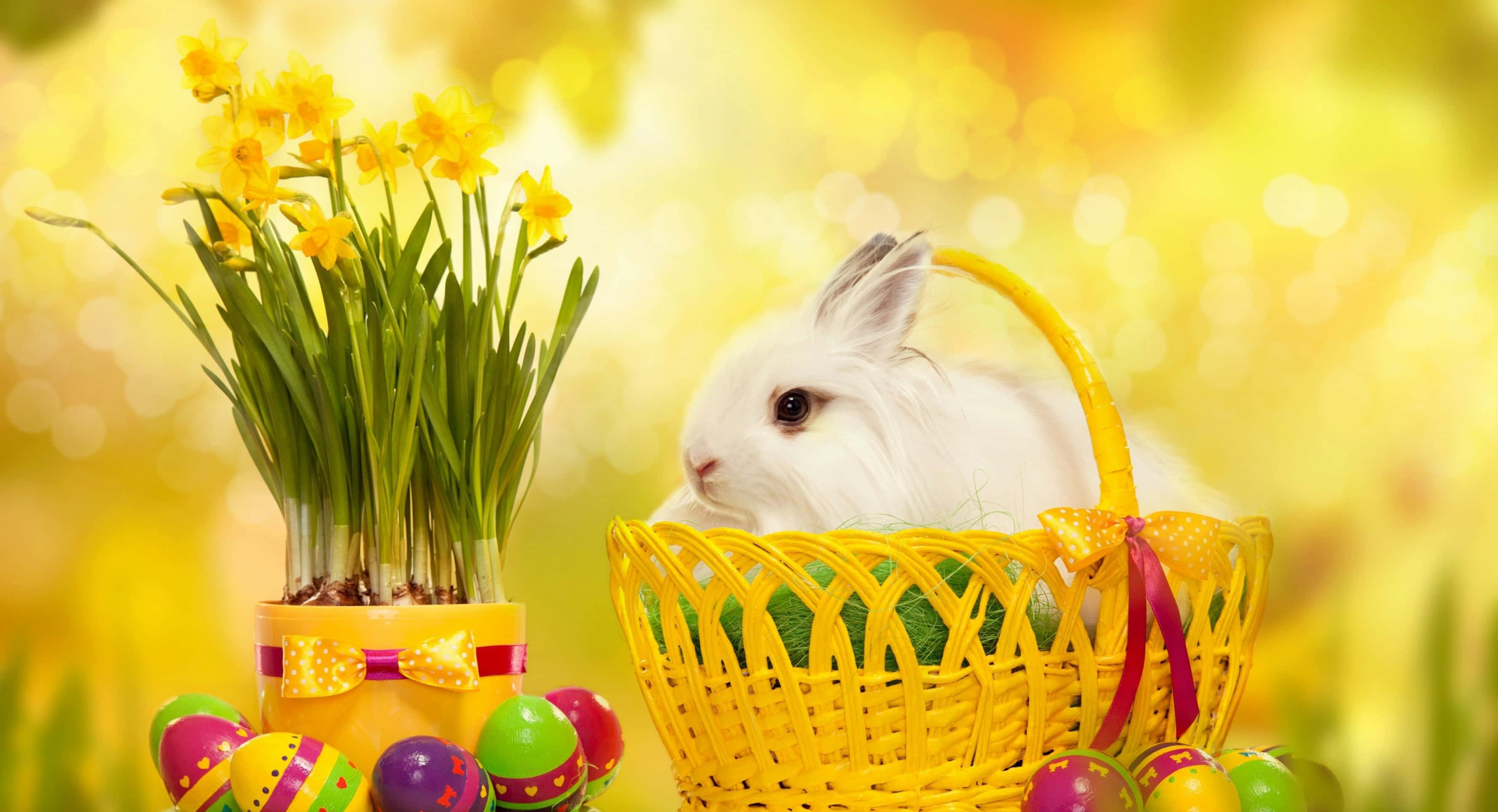 Easter 桌布 壁紙 — 一隻毛茸茸的白兔從黃色柳條籃中探出頭來，旁邊有水仙花和色彩繽紛的復活節彩蛋，在陽光明媚的田野中。