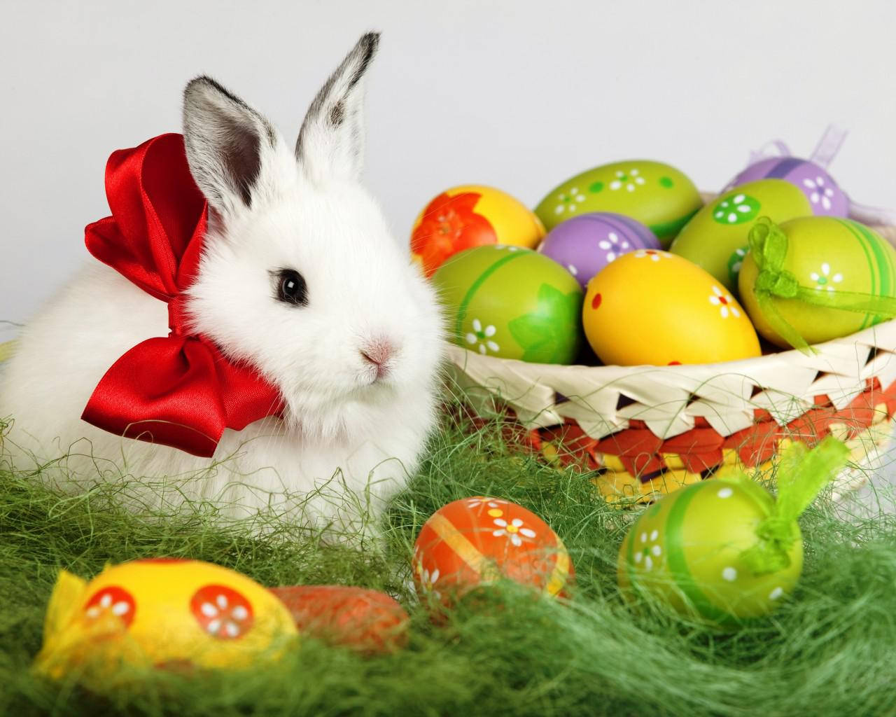 Cute Easter 桌布 壁紙 — 一隻毛茸茸的白兔繫著紅色蝴蝶結，坐在草地上一個裝滿色彩繽紛裝飾復活蛋的籃子旁邊。