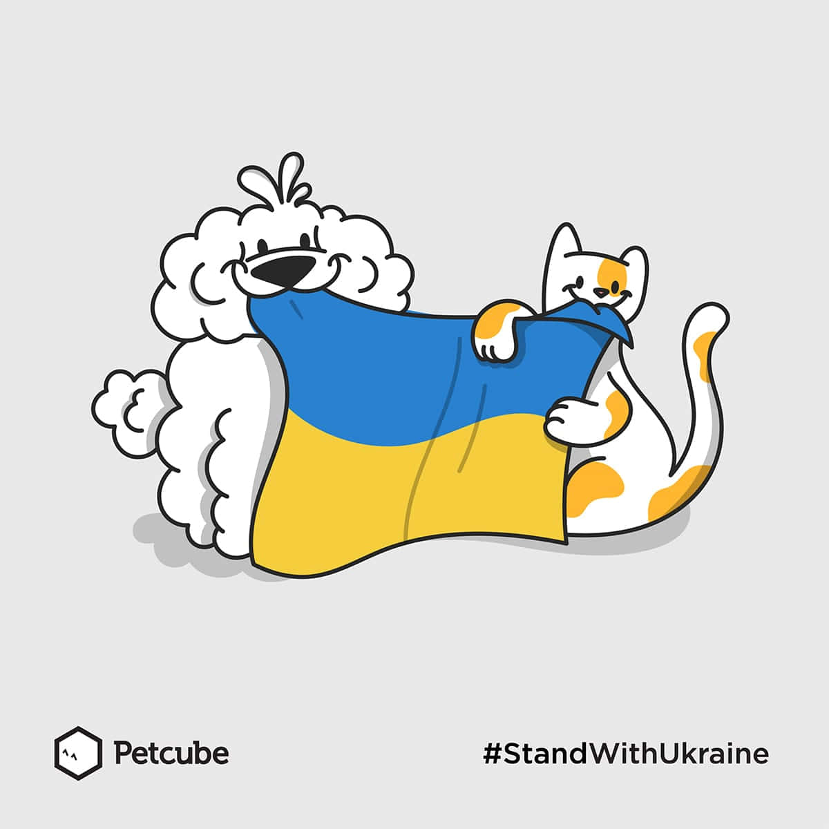 Ukraine 桌布 壁紙 — 一隻毛茸茸的白狗和一隻白橙色的貓咪在純灰色背景前，一起開心地揮舞著飄揚的烏克蘭國旗。