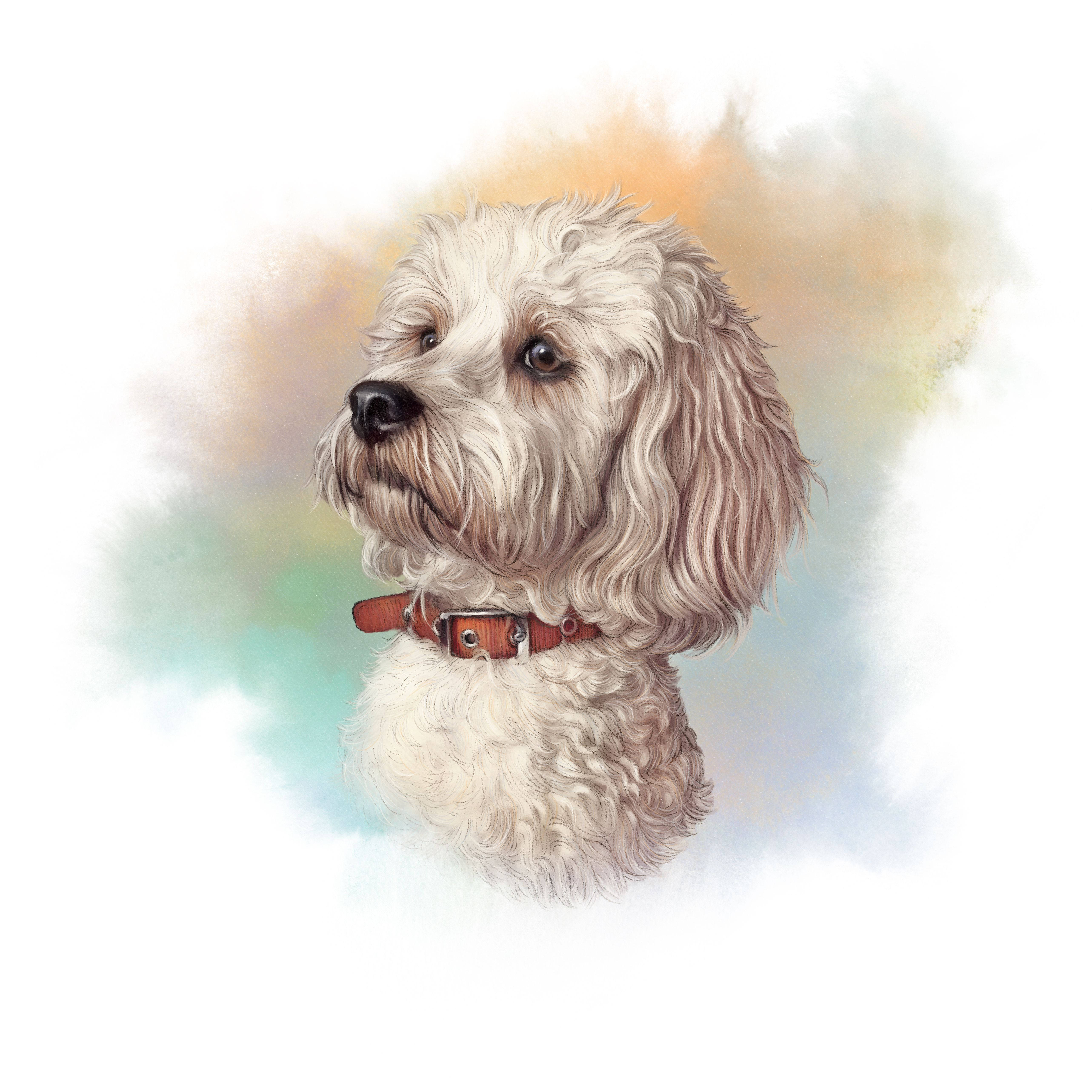 Dog Art 桌布 壁紙 — 一隻毛茸茸的白狗戴著棕色項圈，在柔和的水彩背景前若有所思地凝視。