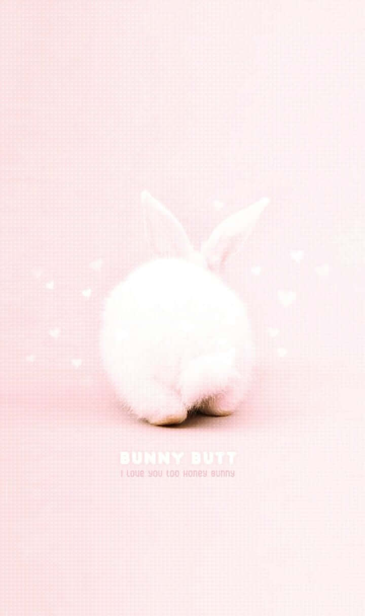 Pink Bunny 桌布 壁紙 — 一隻毛茸茸的白色兔子從背後看，坐在柔軟的粉紅色背景上，帶有漂浮的心形和文字。