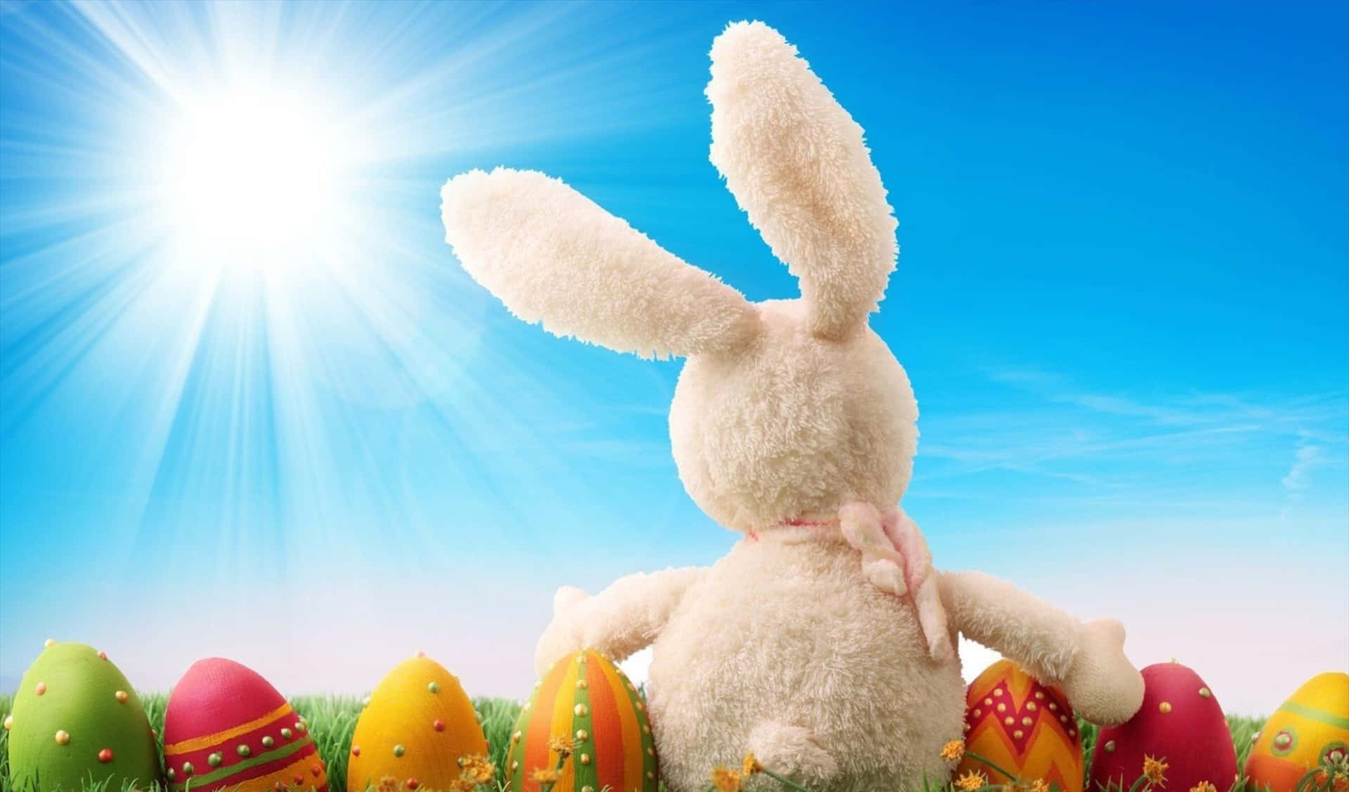 Easter 桌布 壁紙 — 一隻毛茸茸的白色復活節兔子背光坐在燦爛的陽光下，周圍是綠色草地上色彩繽紛的裝飾蛋。