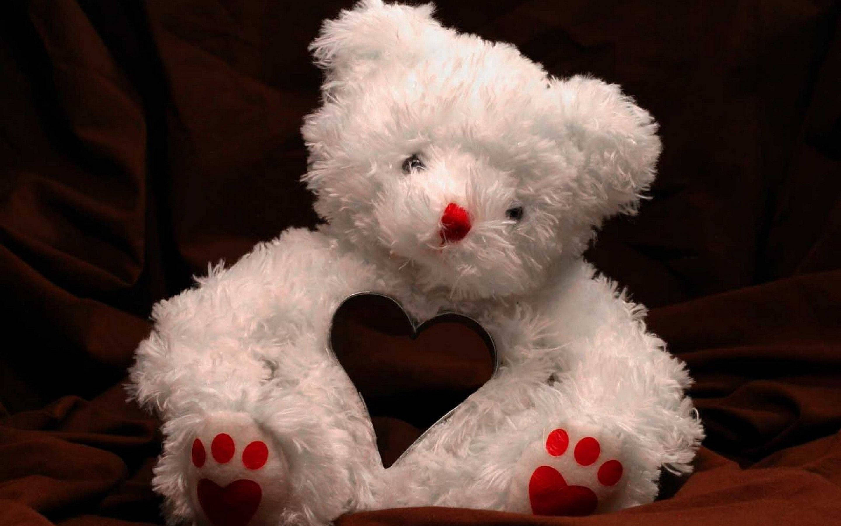 Teddy Bear 桌布 壁紙 — 一隻毛茸茸的白色泰迪熊，帶有紅色心形細節，在豐富的棕色布料背景前拿著一個深色心形鏡子。