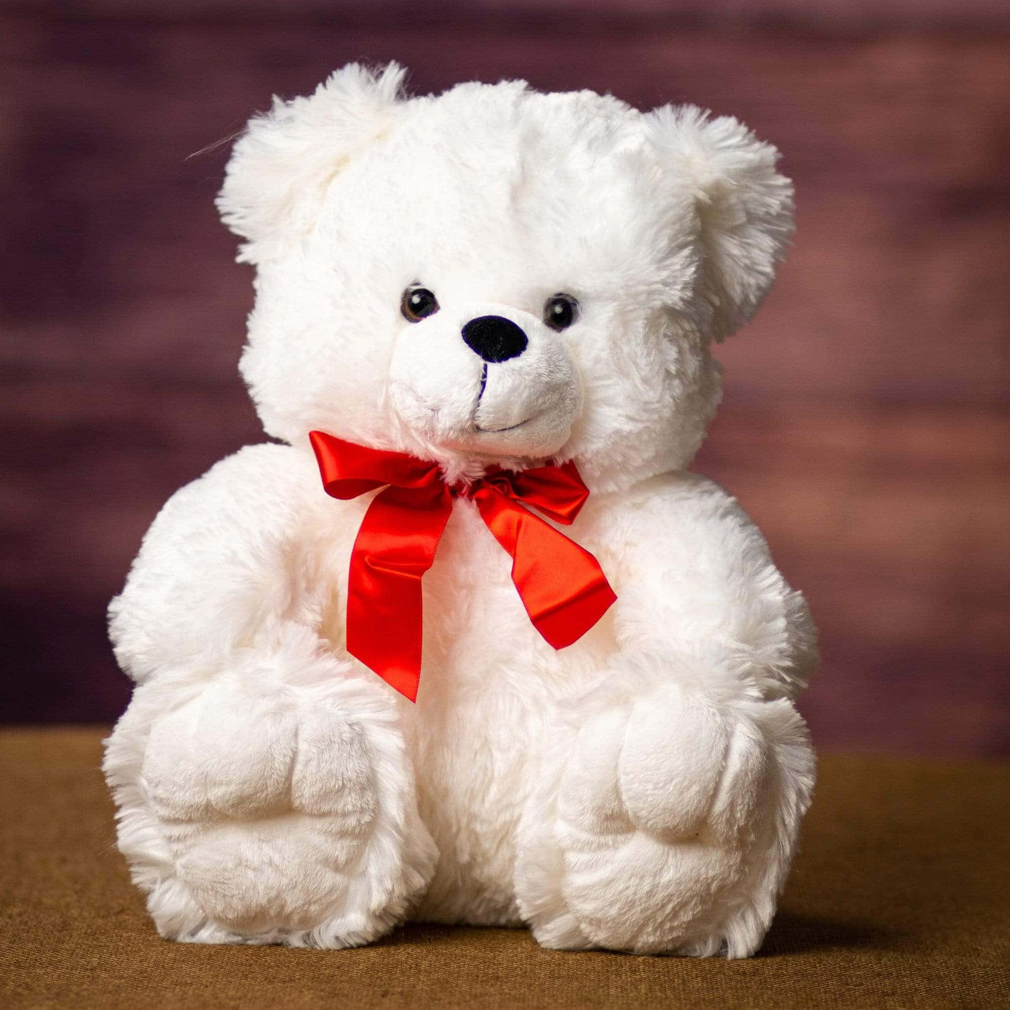 Teddy Bear 桌布 壁紙 — 一隻毛茸茸的白色泰迪熊，繫著鮮紅色緞帶蝴蝶結，寧靜地坐在溫暖的棕色木質背景前。