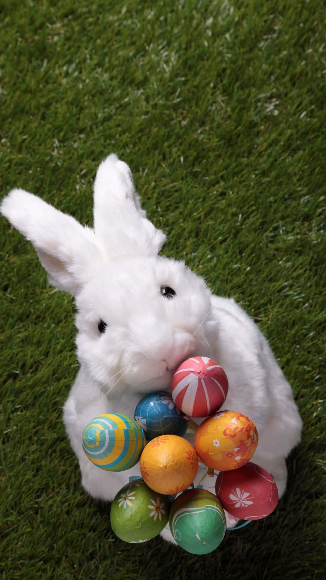 Easter Bunny 桌布 壁紙 — 一隻毛茸茸的白色絨毛兔子拿著一束色彩繽紛的裝飾復活節蛋，放在充滿活力的綠色草地上。