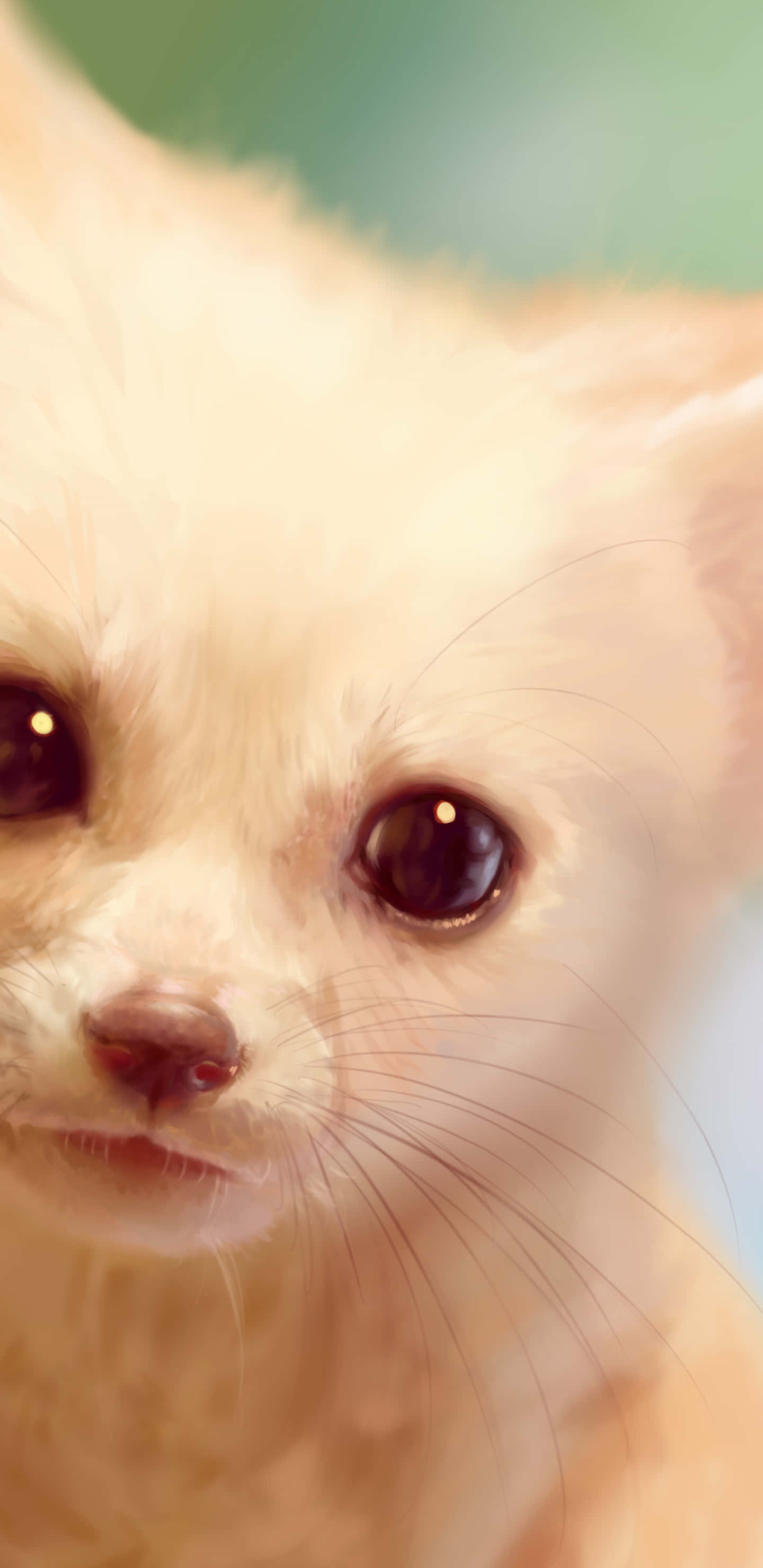 桌布 壁紙 — 一隻毛茸茸的白色耳廓狐特寫，有著大大的深色眼睛，在柔和的綠色背景前溫柔地凝視。
